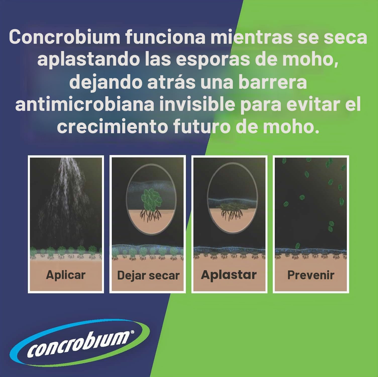 siamons internacional 025/326 concrobium moho spray Control, 900 ml