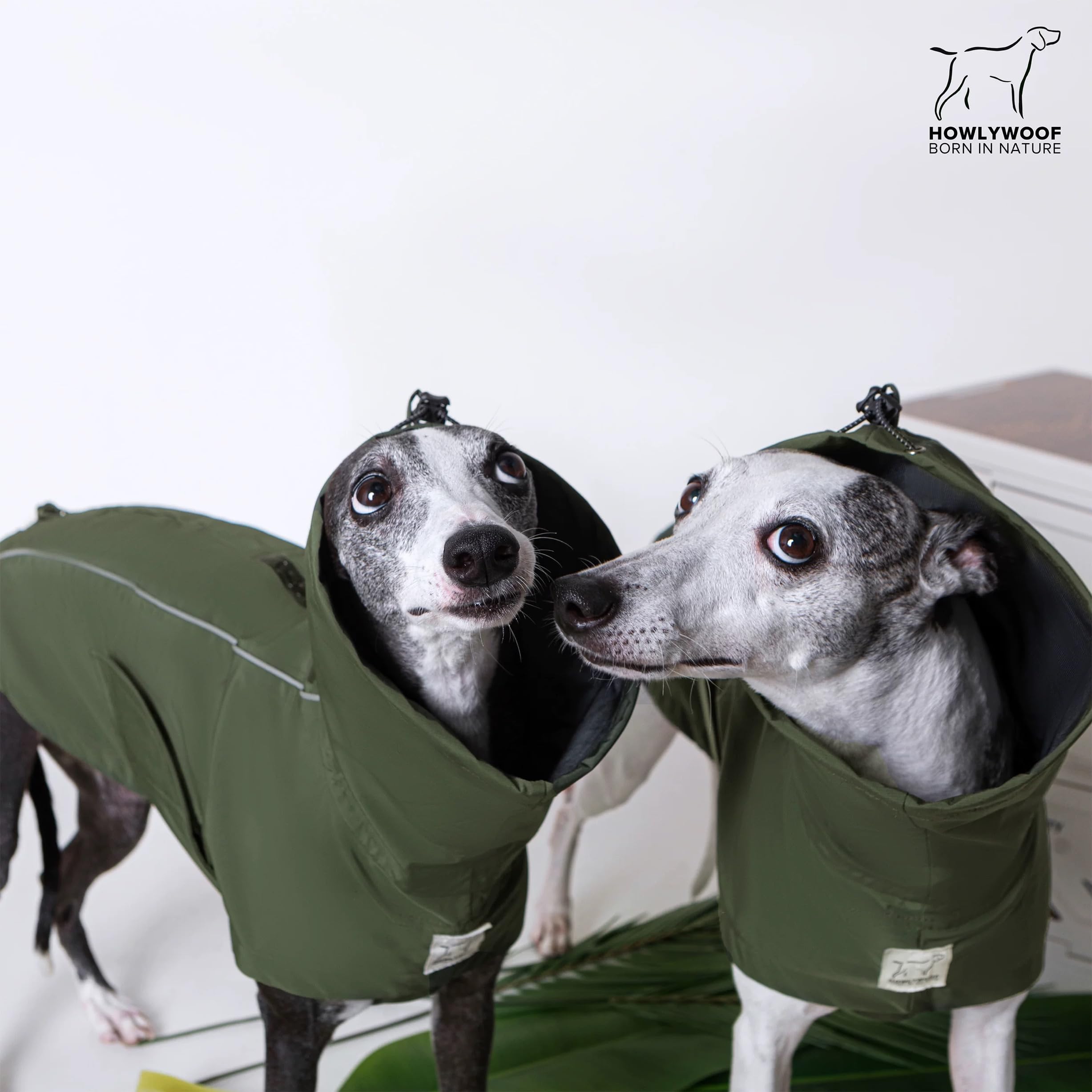 Impermeable para perro, impermeable con capucha para perros pequeños, medianos y grandes, chaqueta impermeable ajustable para perros (08 (pecho 26-30 pulgadas, espalda 22.5-25.5 pulgadas)