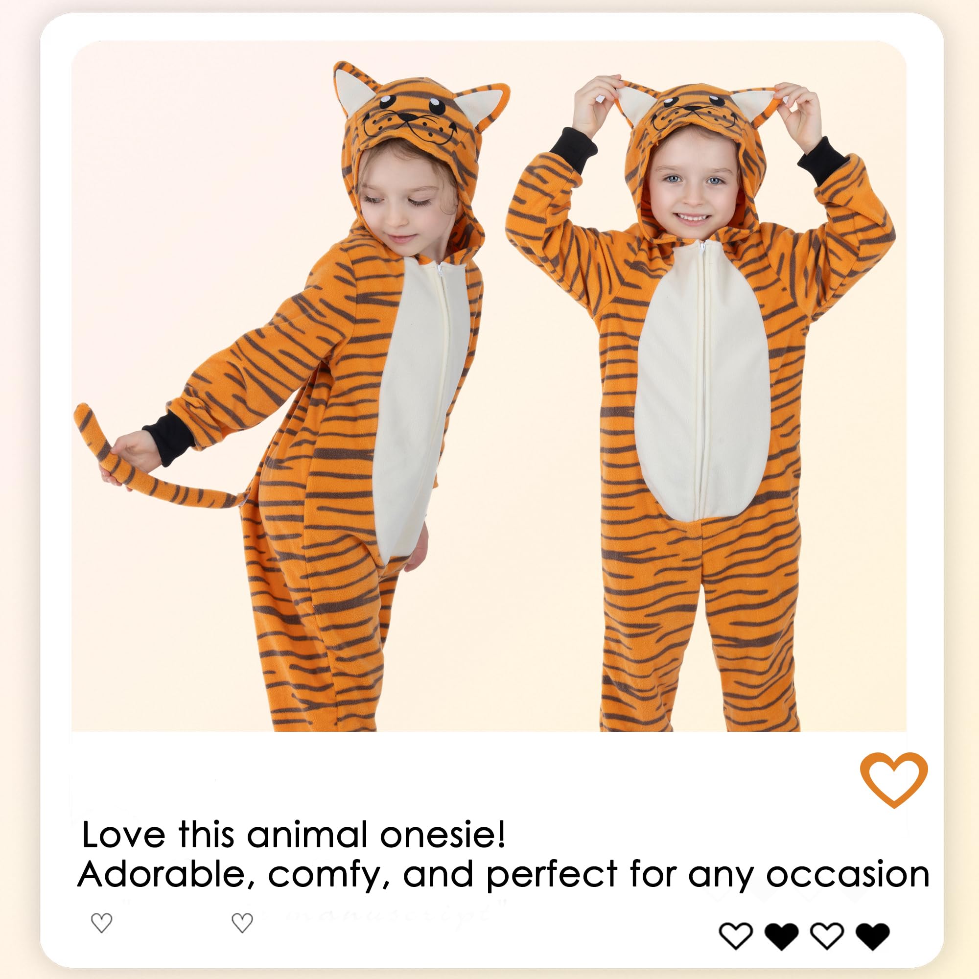 View 5