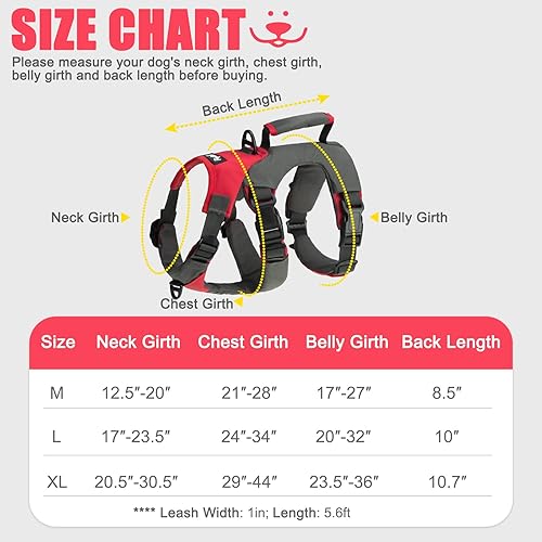 Miniatura 2 de PUPTECK Arnés para perro a prueba de escapes, chaleco ajustable sin tirones y correa de doble asa, suave asa acolchada de elevación para perros
