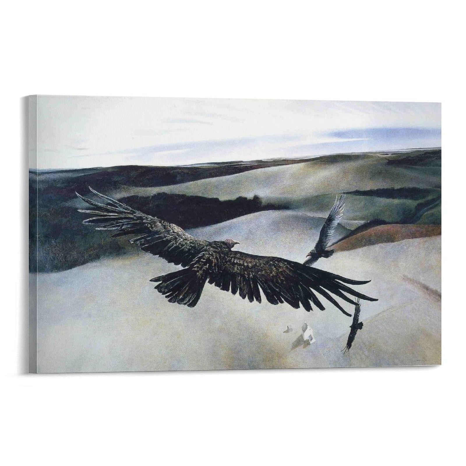 Amazon.co.jp: アンドリュー・ワイエスの飛翔アンドリュー・ワイエス