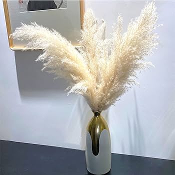 Amazon | 10 ps天然パンパスグラス48インチ（70 cm）ふわふわ
