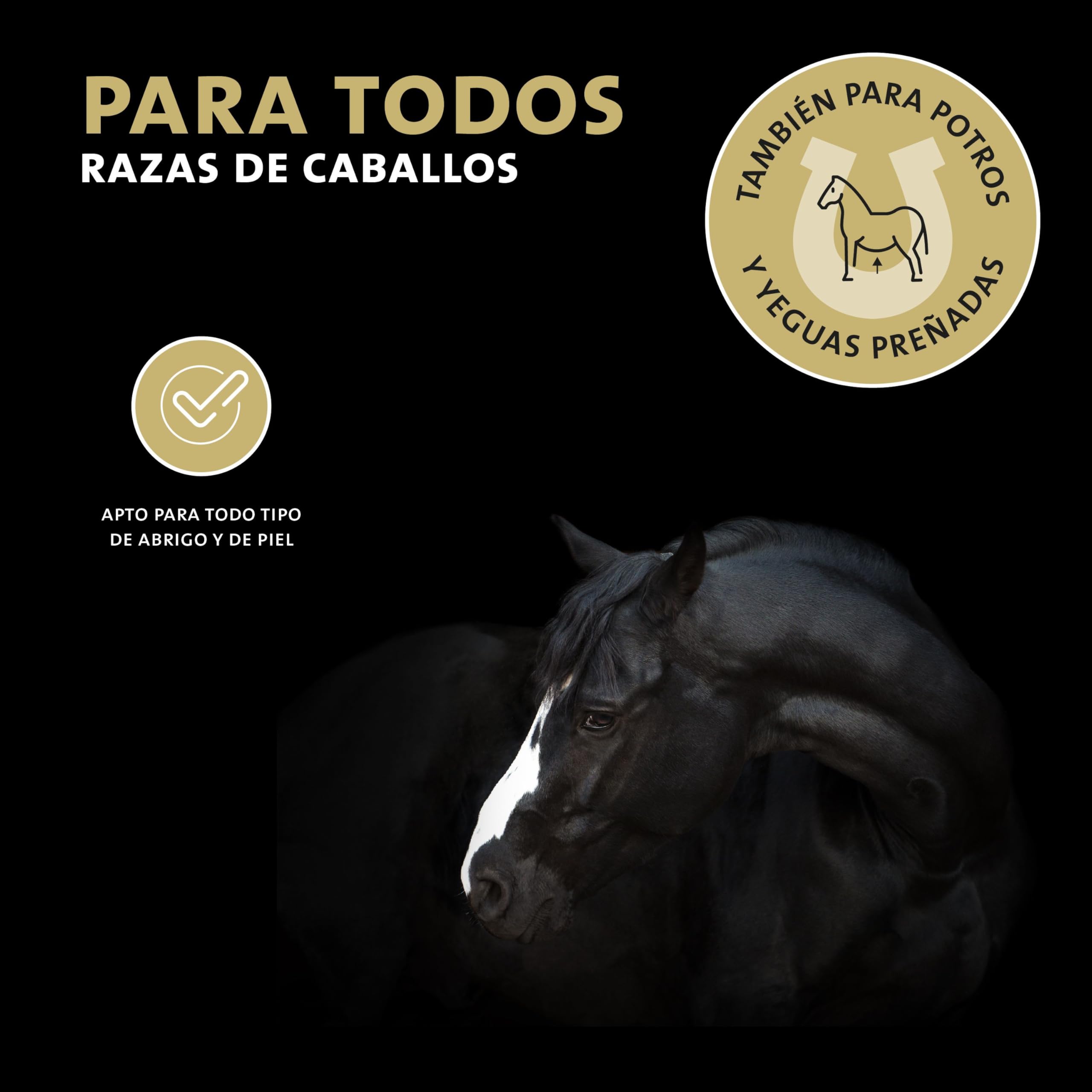 Peticare champú para Caballos - Lavado de Cuidado para Todas Las Razas, Cuidado de la Piel con ph Neutro, Suave y Delicado, facilita el Peinado, para anudar - petHorse Care 2015