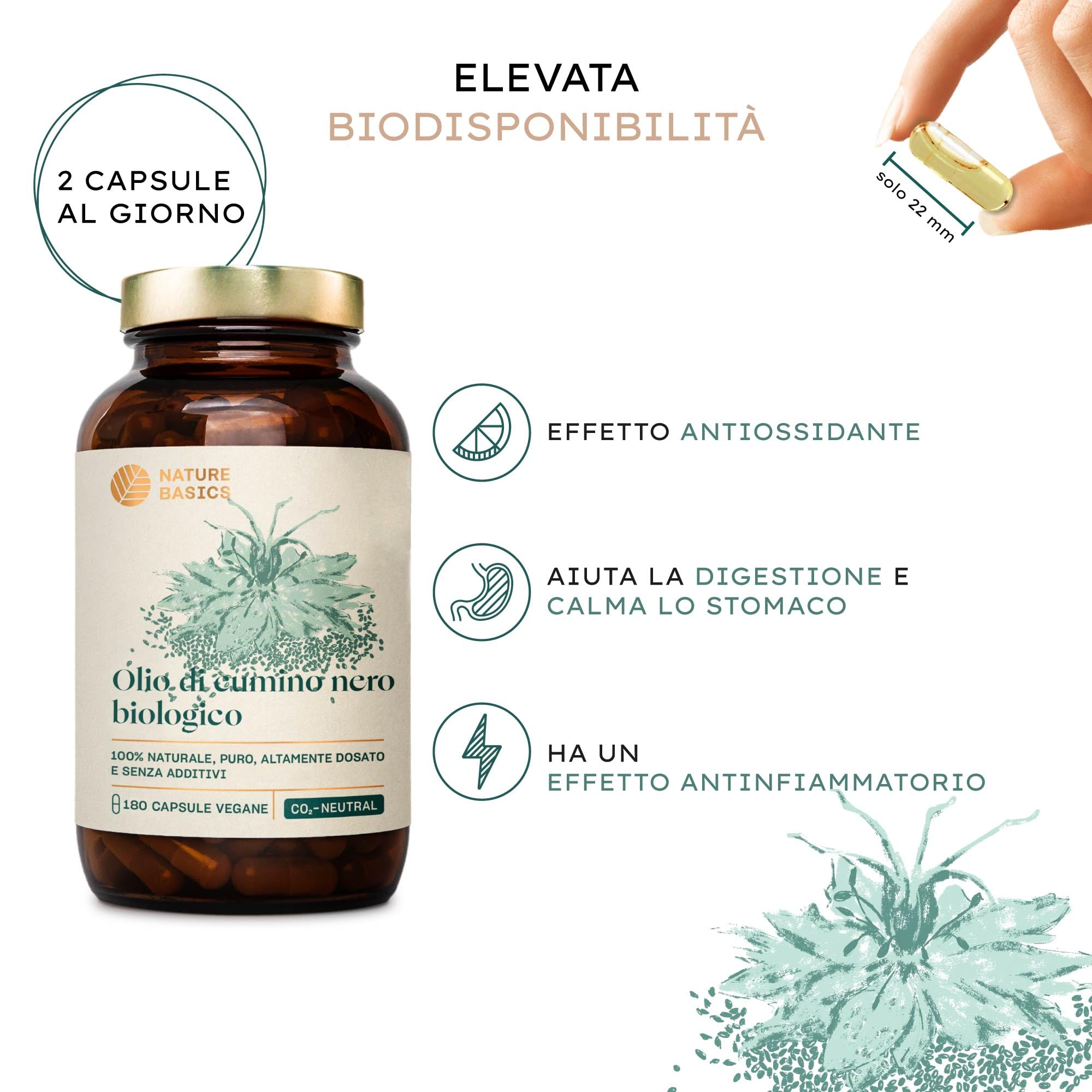 Olio di semi di cumino nero biologico - 180 capsule ad alto dosaggio / 500 mg di olio di semi di cumino nero biologico e 250 mg di acido linoleico per capsula/Vegano, certificato e sostenibile