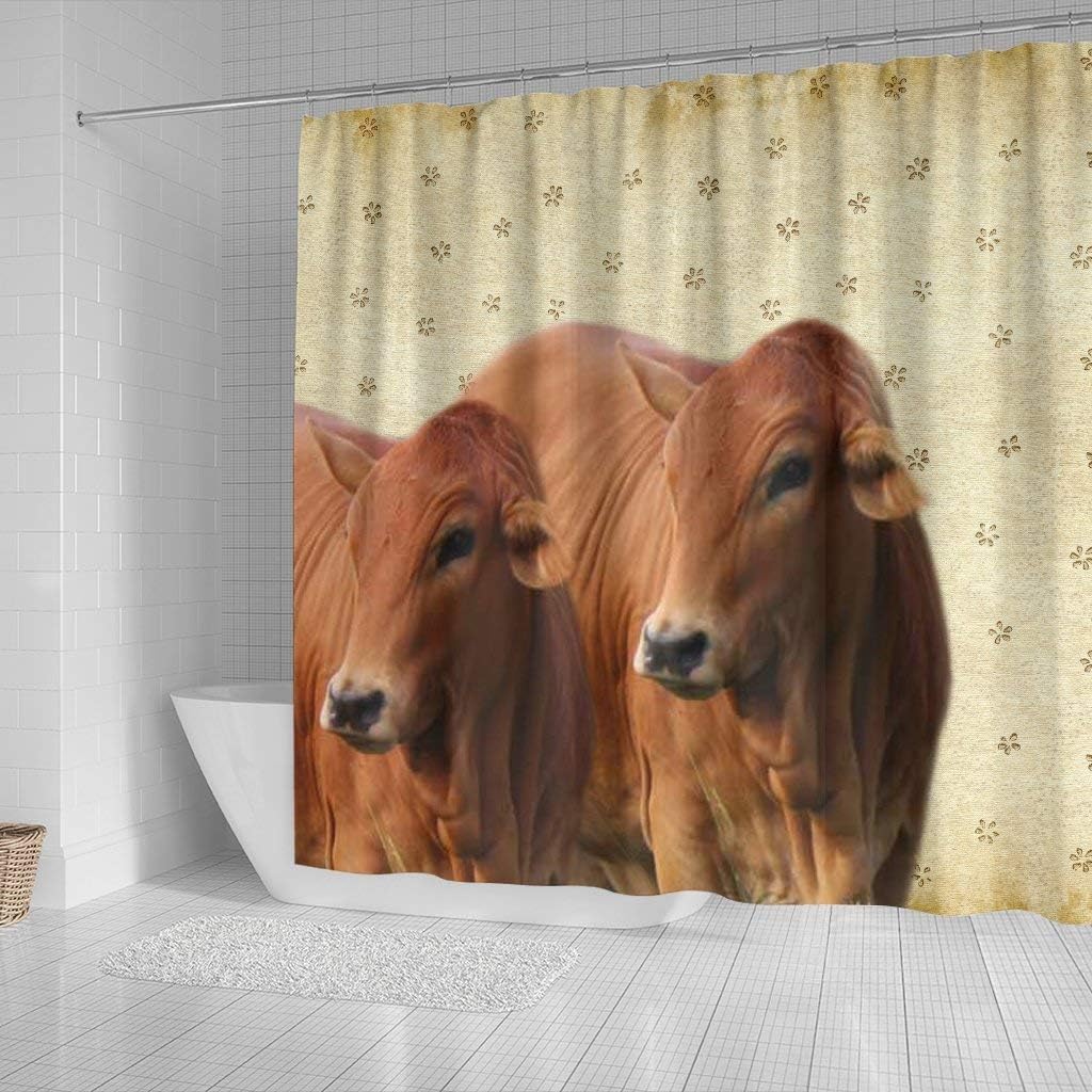 Cute Boran Cattle (Cow) Print Shower Curtain