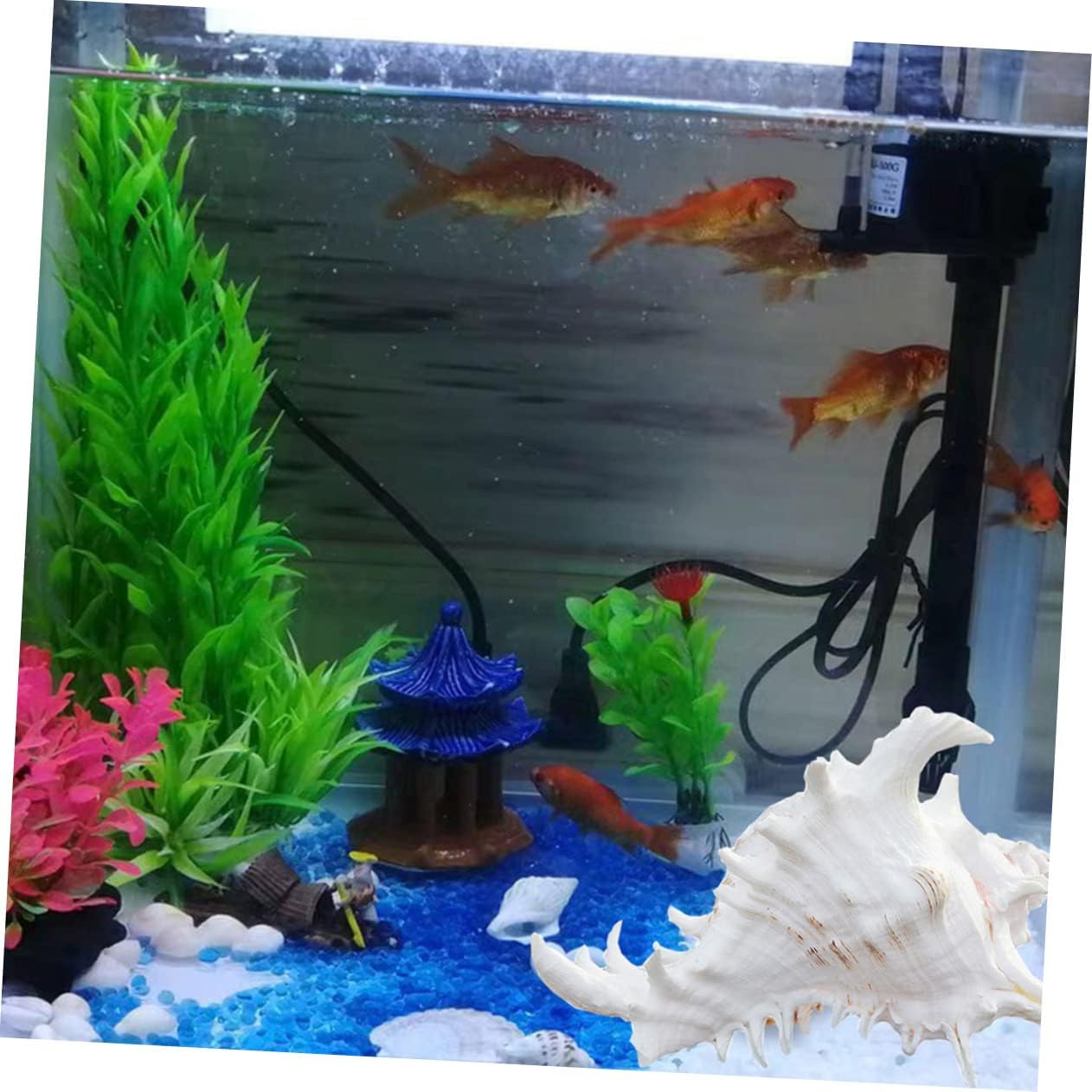 NOLITOY Natural Shell Aquarium Decoration Conch Ornament for Fish Tank Realistic Desktop Decoration for Fresh Aquariums Easy to Clean Creative Landscape