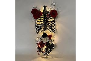 DAZONGE Framed 3D Skeleton Torso Holding Candle: Spooky Halloween Decor