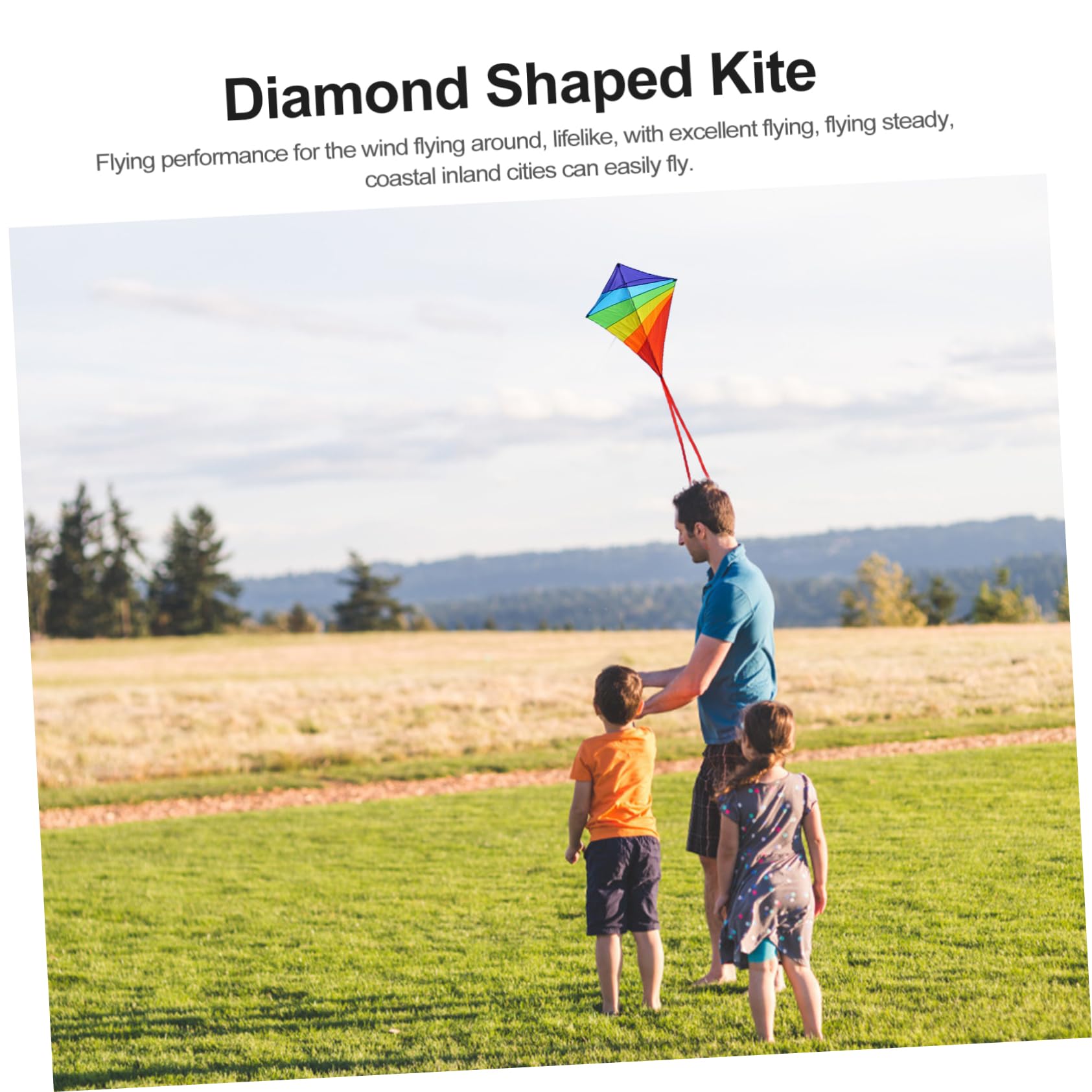 Kisangel Diamond Shaped Outdoor Kite Easy to Fly Long Tail Design for Garden Beach Fun Colorful Rainbow Kite for Family Activities Present for Birthdays Holidays