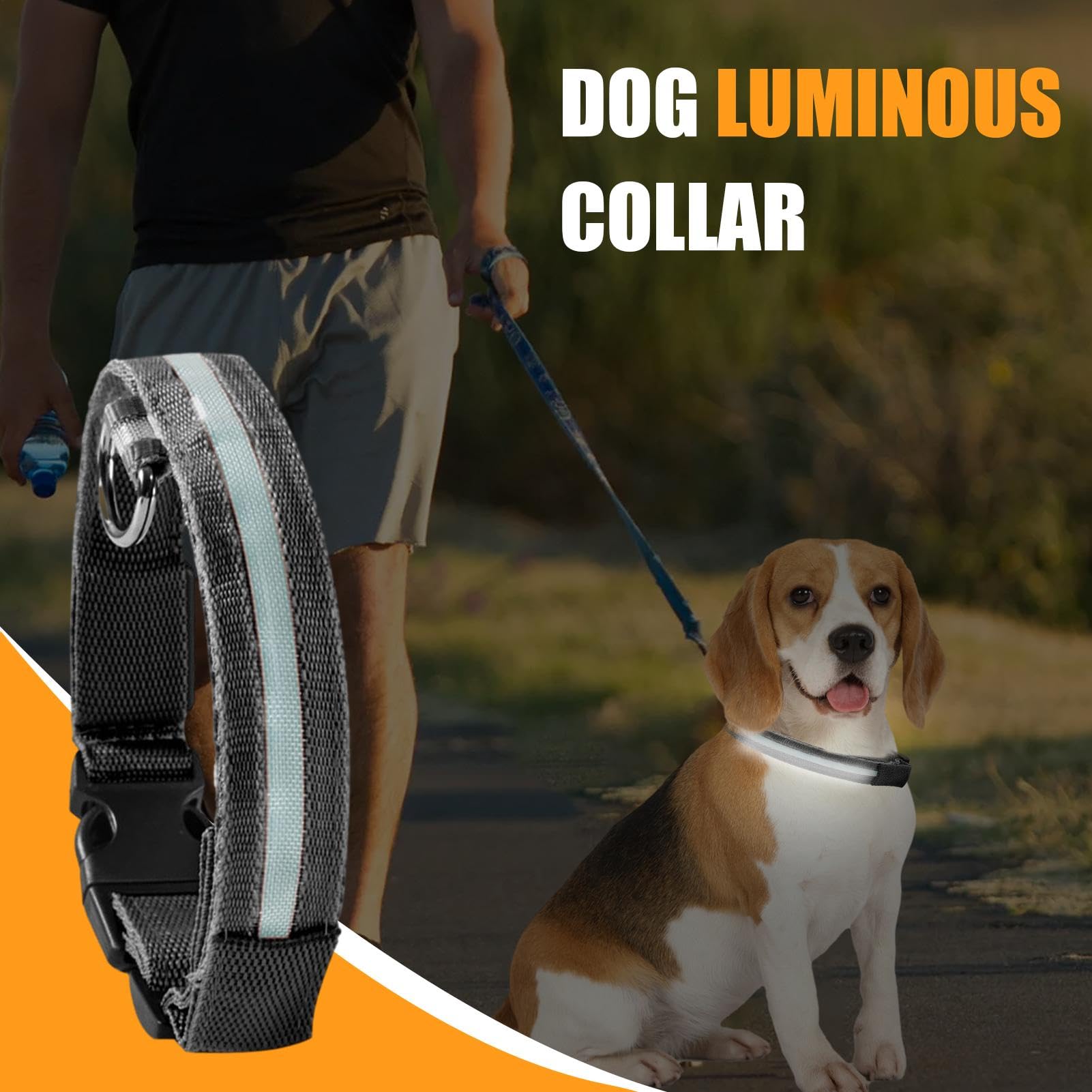 LED | Collare luminoso lampeggiante per cani, collari regolabili che | brillano al buio per cuccioli, cani di taglia media e piccola.