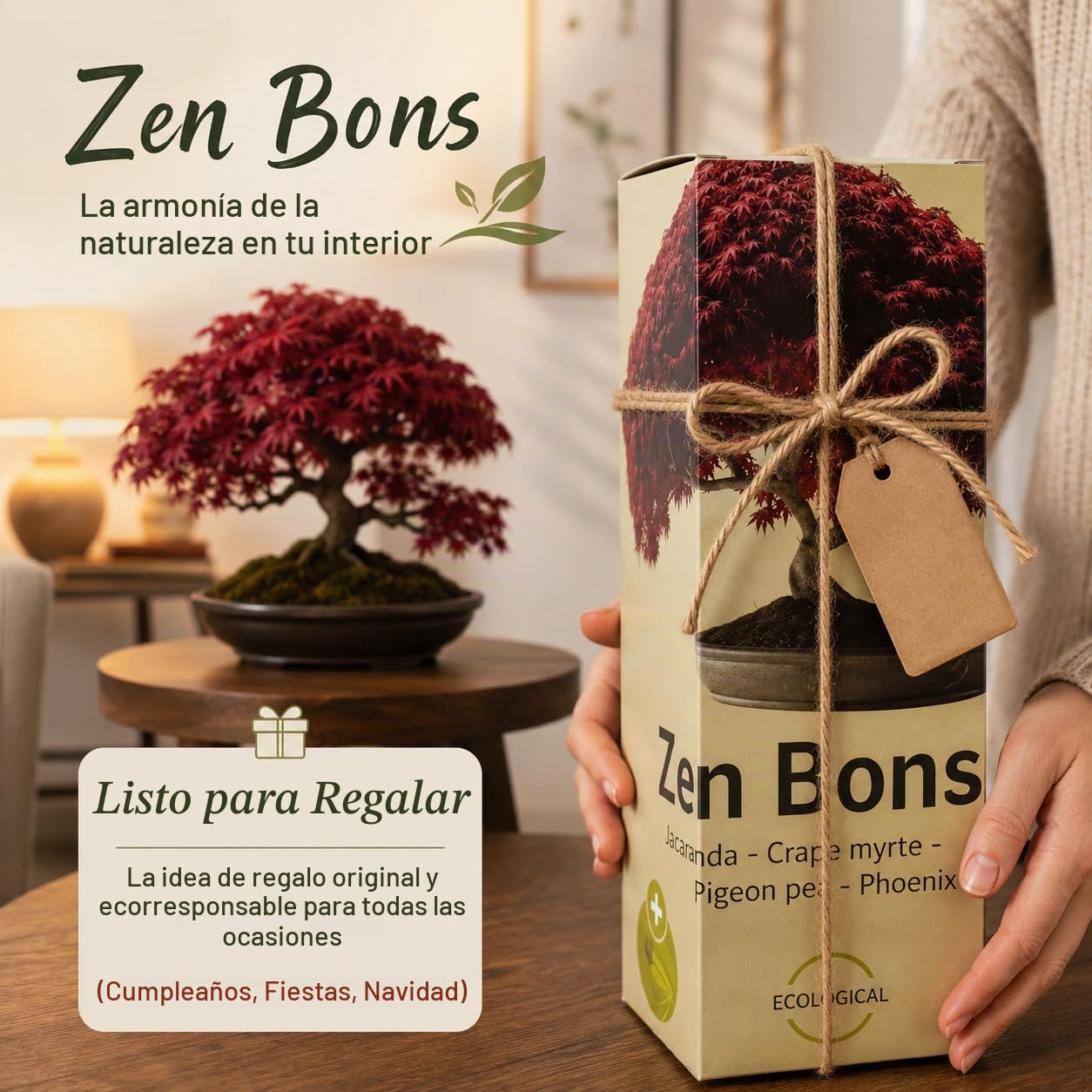 Kit Bonsai Completo de Inicio – Decoración de Madera Interior – 5 Plantas Naturales – Semillas japonesas – Herramientas & Tijeras – Regalo para Mujer y Hombre – Caja Original para la Madre