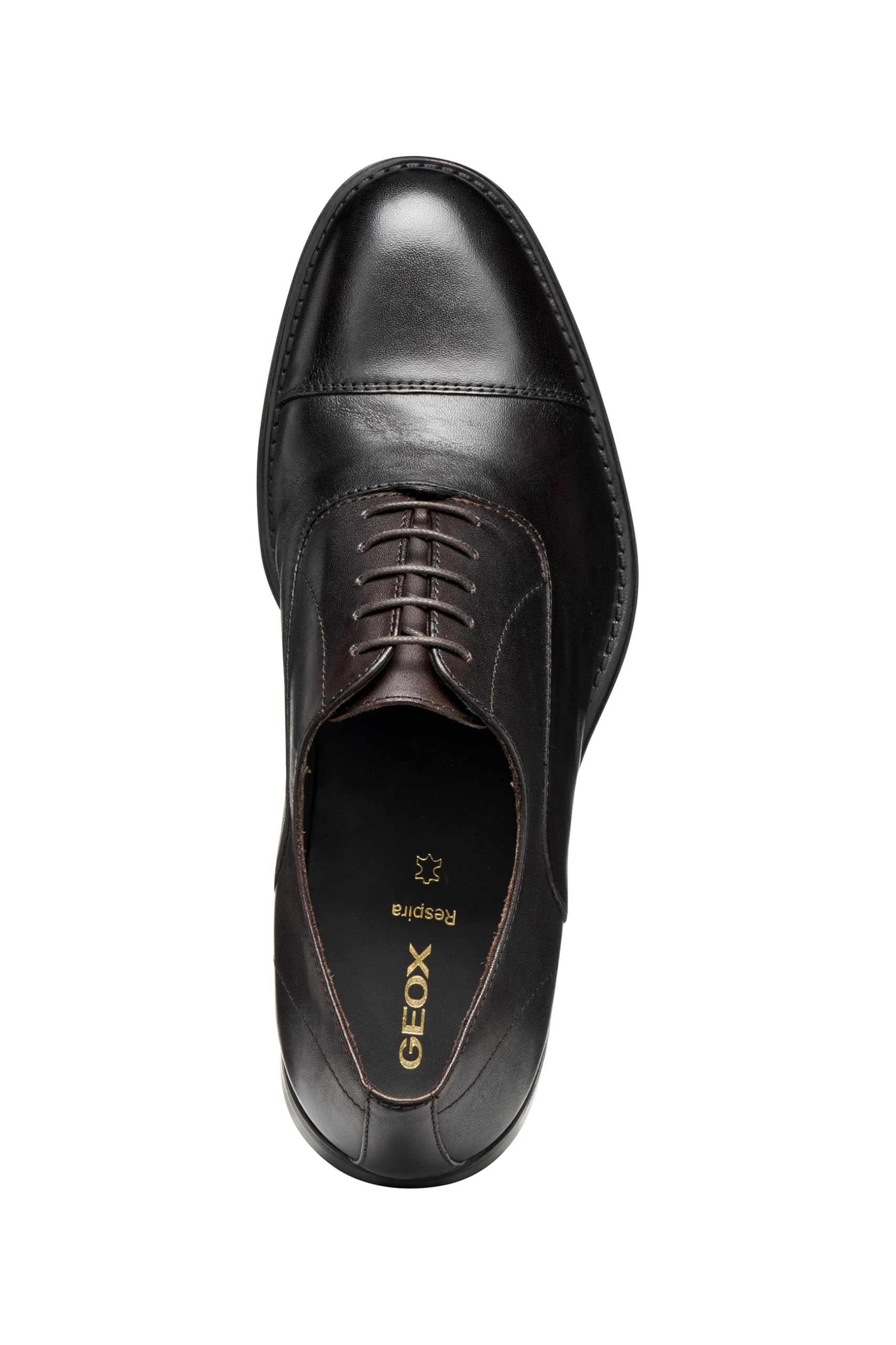 Geox U Barberigo OxfordUomo