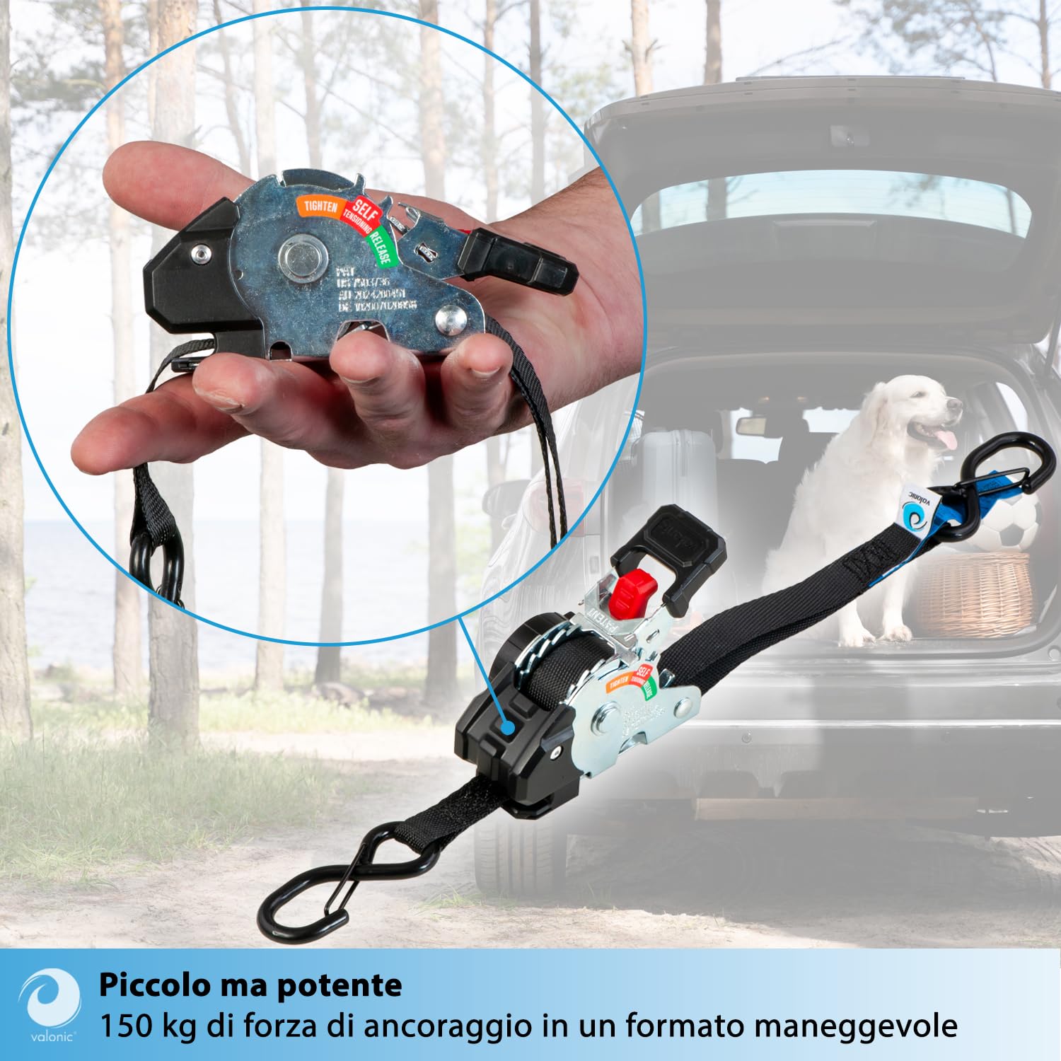valonic CRETA 2 m, mini cinghie a cricchetto, per auto e rimorchio, set da 4, 150 kg forza di ancoraggio, 19 mm, per uso quotidiano e trasporto