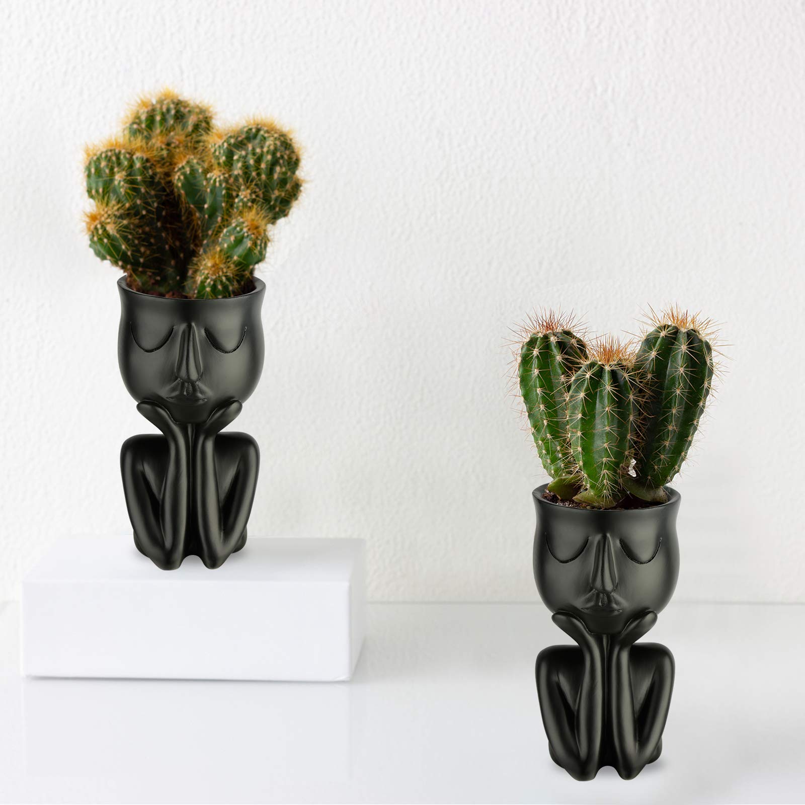 Blumentopf Kopf Vase – Niedlicher Sukkulenten-Pflanzer Aus Harz Für Home Office Deko