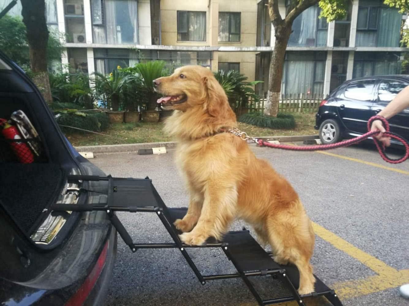 Flightbird Dog Seat Cover for Back Seat, Back Seat Cars,Waterproof Dog Car Seat Covers with Mesh Window,Car Seat Cover, pet Cargo Liner for SUV, Waterproof Durable Bumper Protector, Pet Cargo Liner