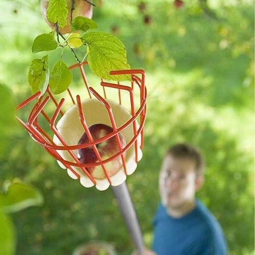 Miniatura 7 de ZOENHOU Paquete de 3 cestas para recoger frutas, herramienta para recoger frutas, cesta de cabeza con cojín de espuma para recoger frutas, 13 x 5.7