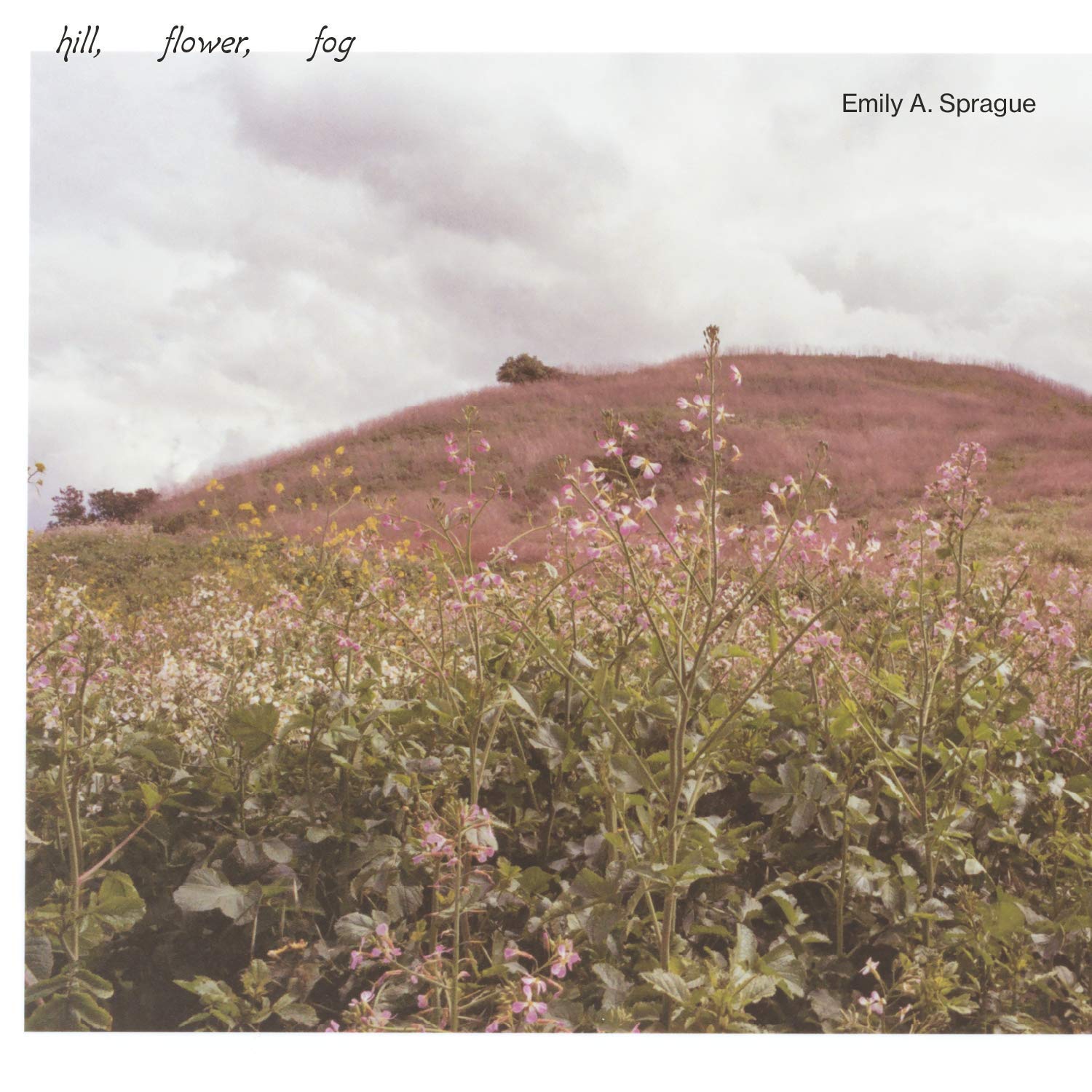 【中古】「非常に良い」［CD］Hill Flower Fog (日本独自CD化/解説付き) [ARTPL-142] Amazon | Hill, Flower, Fog (日本独自CD化/解説付き) [ARTPL-142