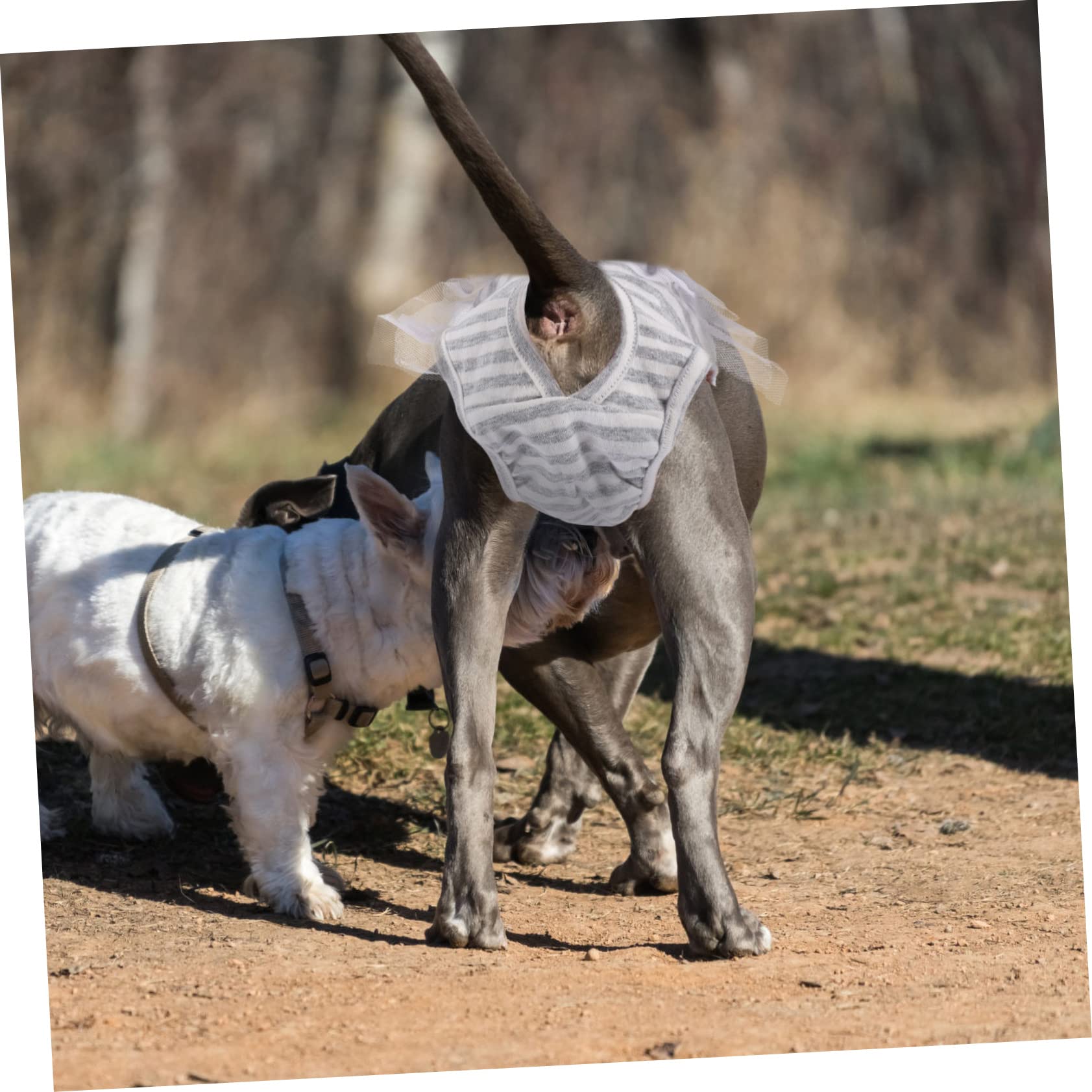 Mipcase Reusable Dog Diapers for Female Dogs Washable Comfortable Embarrassment- Period Protection Large Size Adorable Patterns