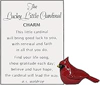 Vista 1 de Ganz Dije de cardenal de la suerte con tarjeta de historia