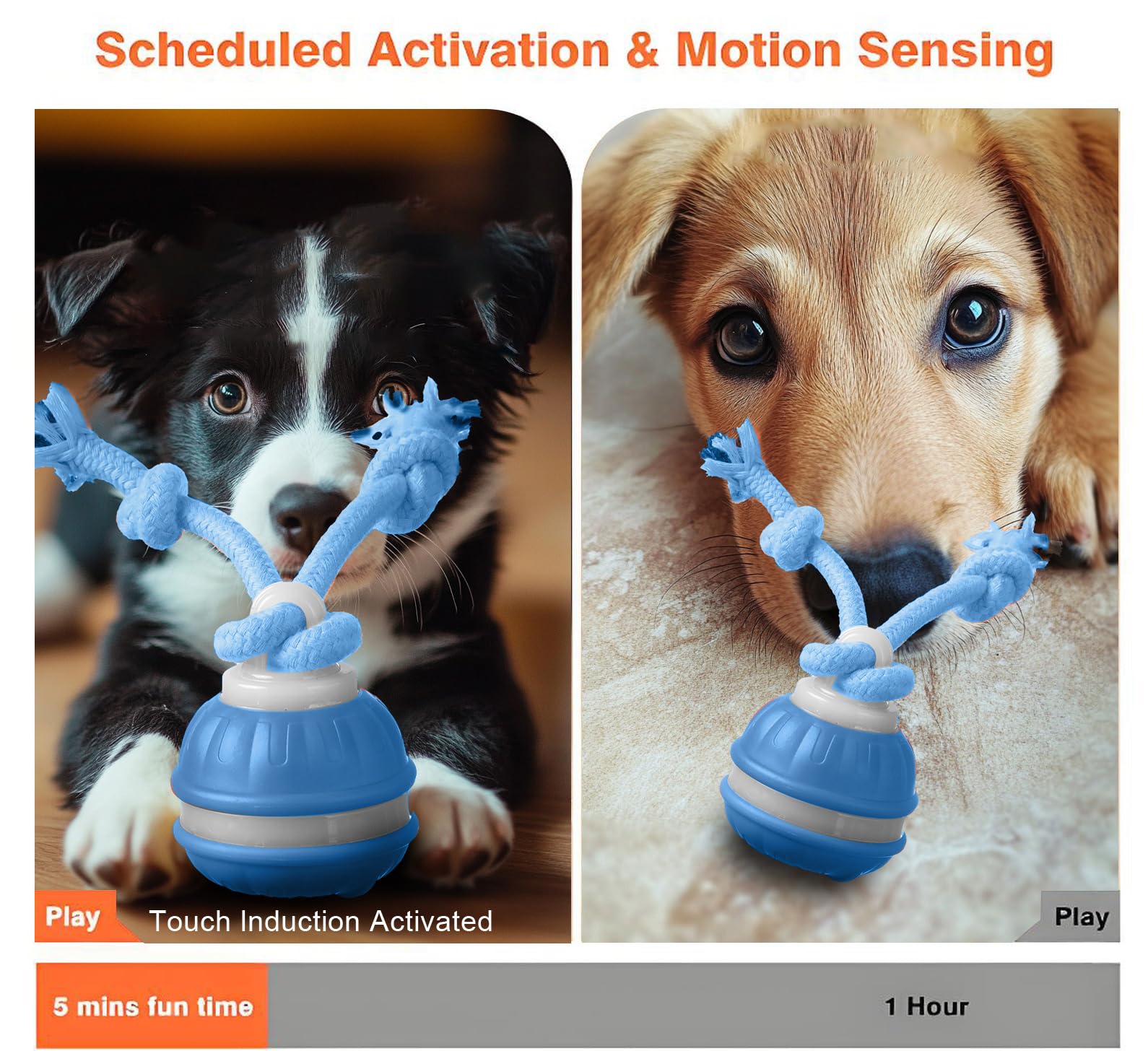 Lot de 2 balles interactives pour chien, balle roulante automatique active avec queue pour chiens, jouet mobile pour chien pour l'ennui, émet des sons d'oiseaux pour stimuler la curiosité, jouets pour