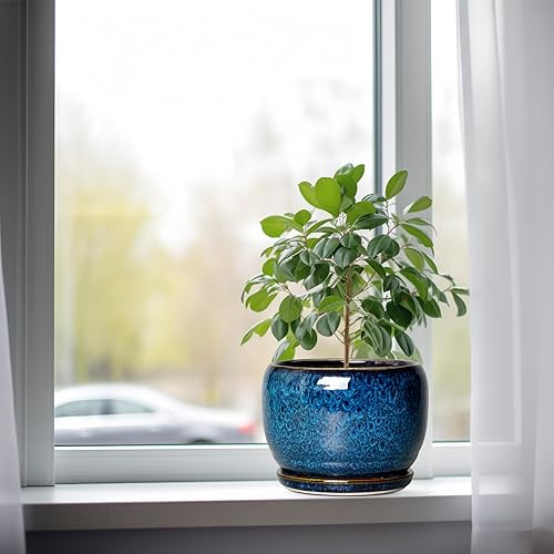 Miniatura 4 de SQOWL Maceta de cerámica de 8 pulgadas, maceta para plantas de interior y exterior, maceta redonda de cerámica con orificio de drenaje y platillo,