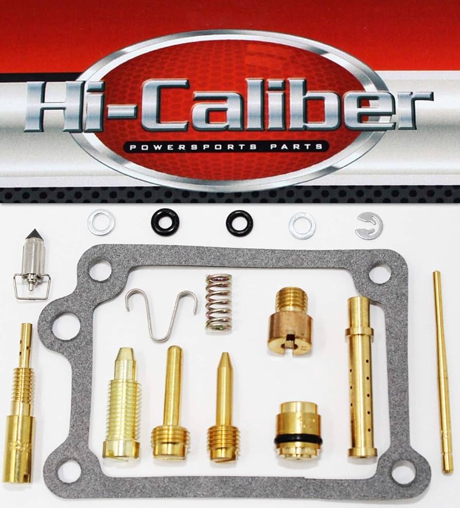 Amazon.com: OE Quality Carburetor Carb Rebuild Kit for the