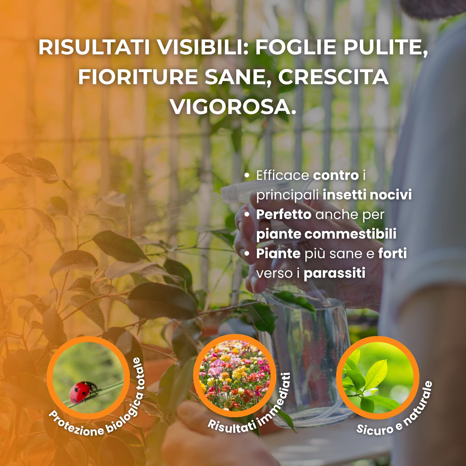 SENAPE-PLUS® Olio di Senape Potente per Insetti Parassiti | Afidi, Cocciniglie, Bruchi, Acari, Tignole, Tripidi, Larve | COLTIVAZIONE BIOLOGICA DI ALTA QUALITÀ | 250 gr