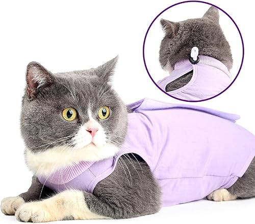 LIANZIMAU Traje de recuperación de cirugía para gatos para heridas abdominales quirúrgicas, ropa interior para mascotas, cuello electrónico,