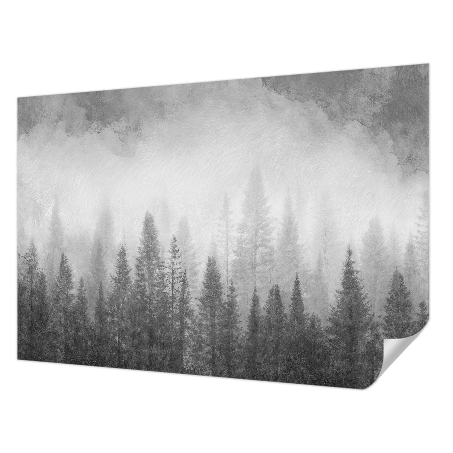 Papier peint autocollant salon moderne brouillard forestier 152x104