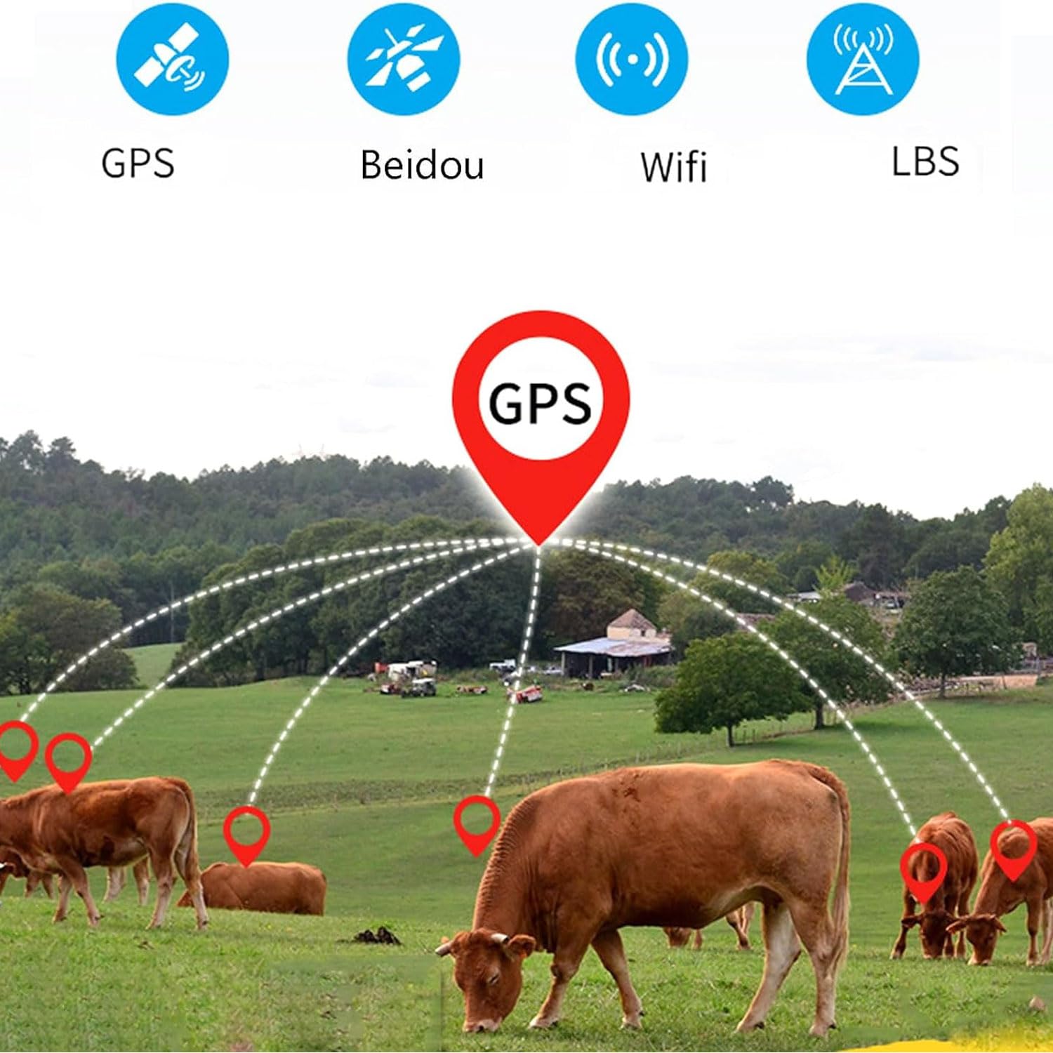 Lokalizator zwierząt gospodarskich, lokalizator GPS dla zwierząt, ze śledzeniem historii, urządzenie do pozycjonowania słonecznego, dla krów, owiec, koni, wielbłądów
