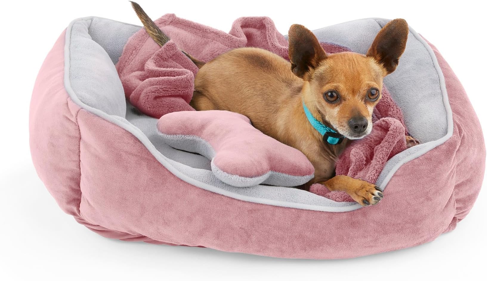 EveryYay Essentials Dog Bed Bundle 22" L X 18" W X 6.5" H Small Pink