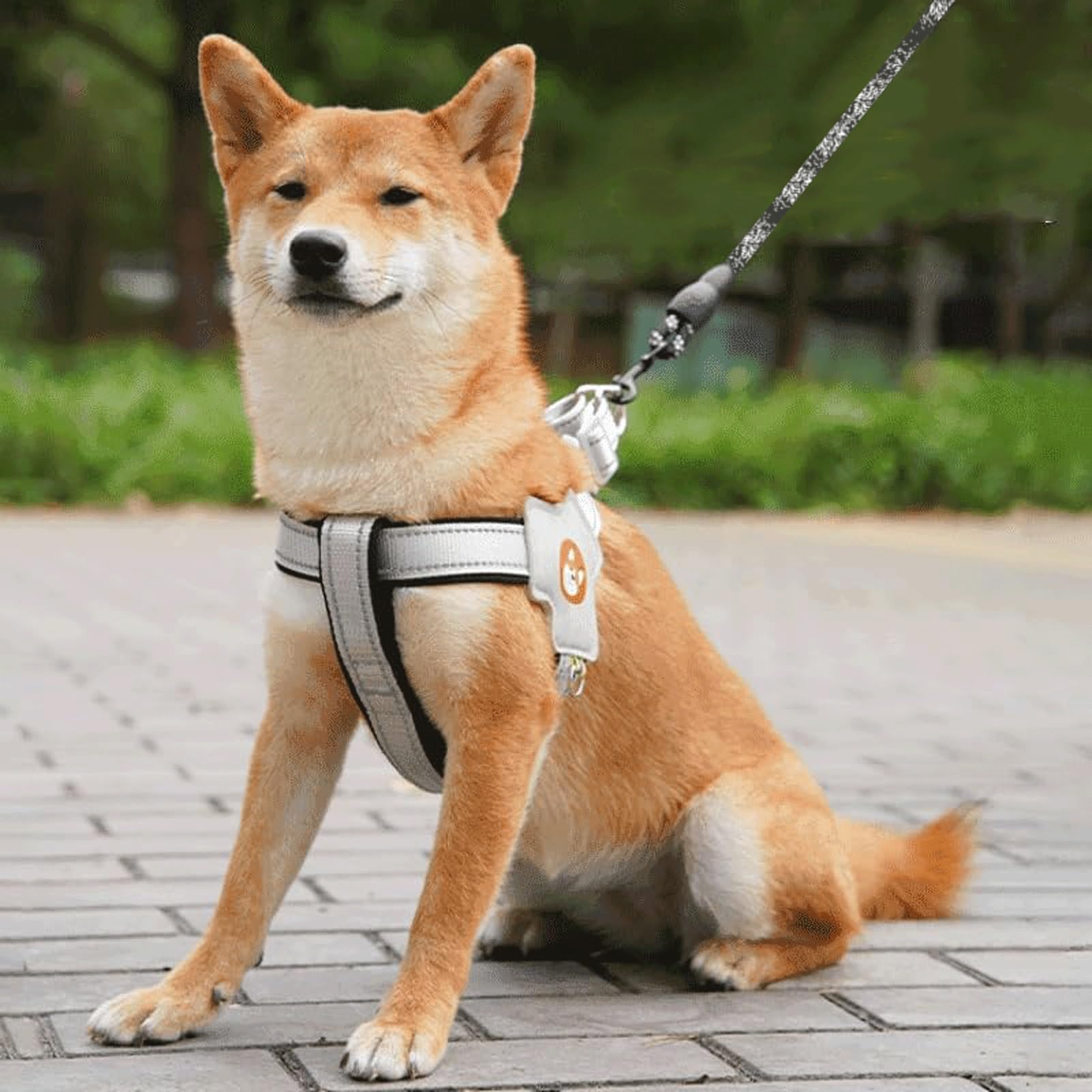 Arnés Antitirones para Perros: Acolchado De Malla Transpirable, Tiras Reflectantes Y Diseño Antiescape | para El Adiestramiento De Perros Pequeños Y Medianos(Black,XL)