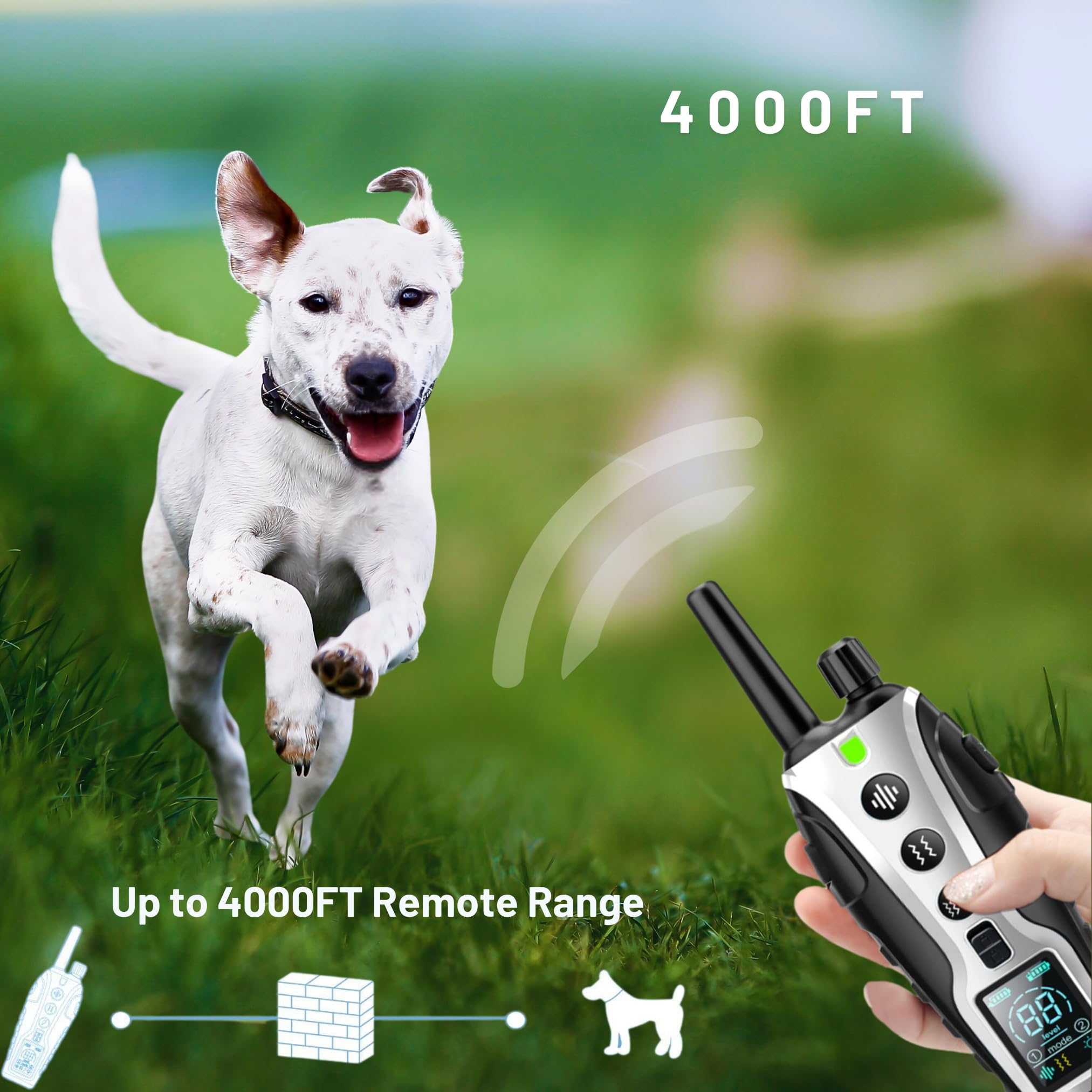 BotDynasty Humane Anti Bark Collar for Dogs, No Shock, Adjustable Sound & Vibration, Short-Session Training, Waterproof - Image 4