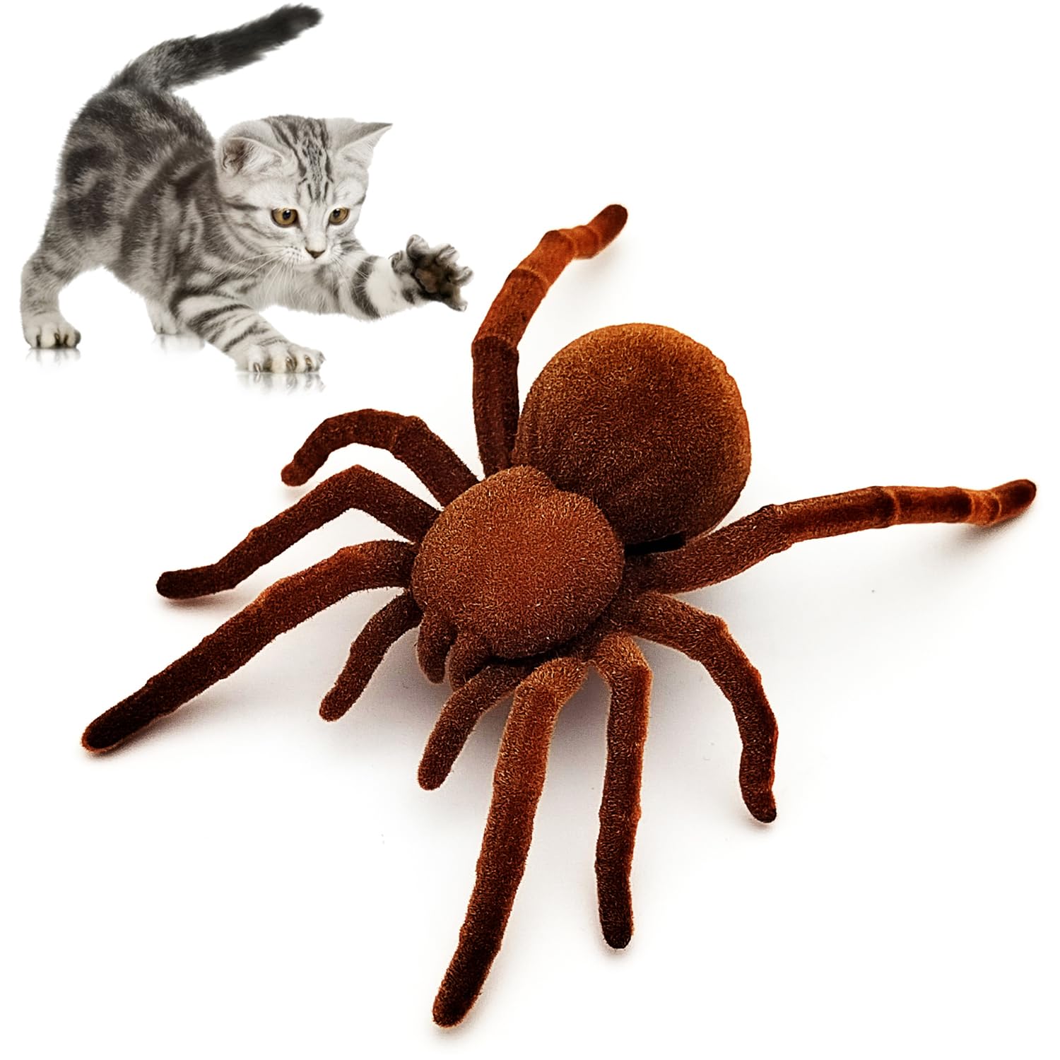 Amazon.com: Tipmant Electric Spider Tarantula Animal Toy Vibration Crawling  Pets Cat Dog Puppy Teasing Toys Prank Scary Kids Gifts : Pet Supplies