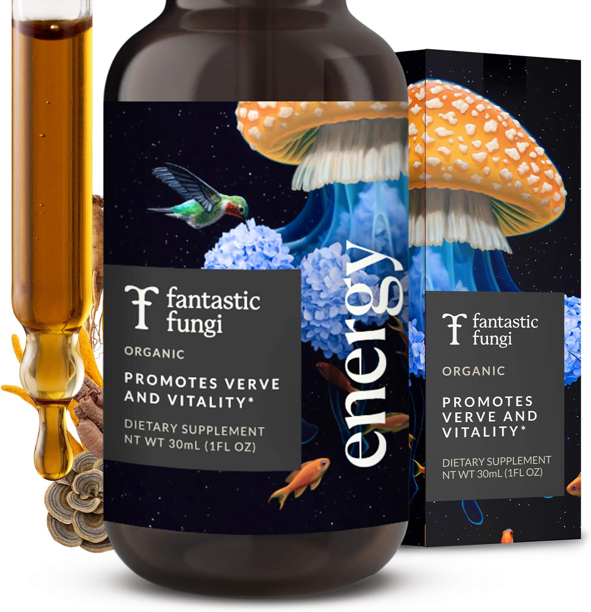 Fantastic Fungi Cordyceps Mushroom Tincture Drops with Turkey Tail, Ginseng & Rhodiola - 4-in-1 Stress Support & Energy Elixir - Organic Mushroom Extract Liquid, 30 Servings, 1 fl oz