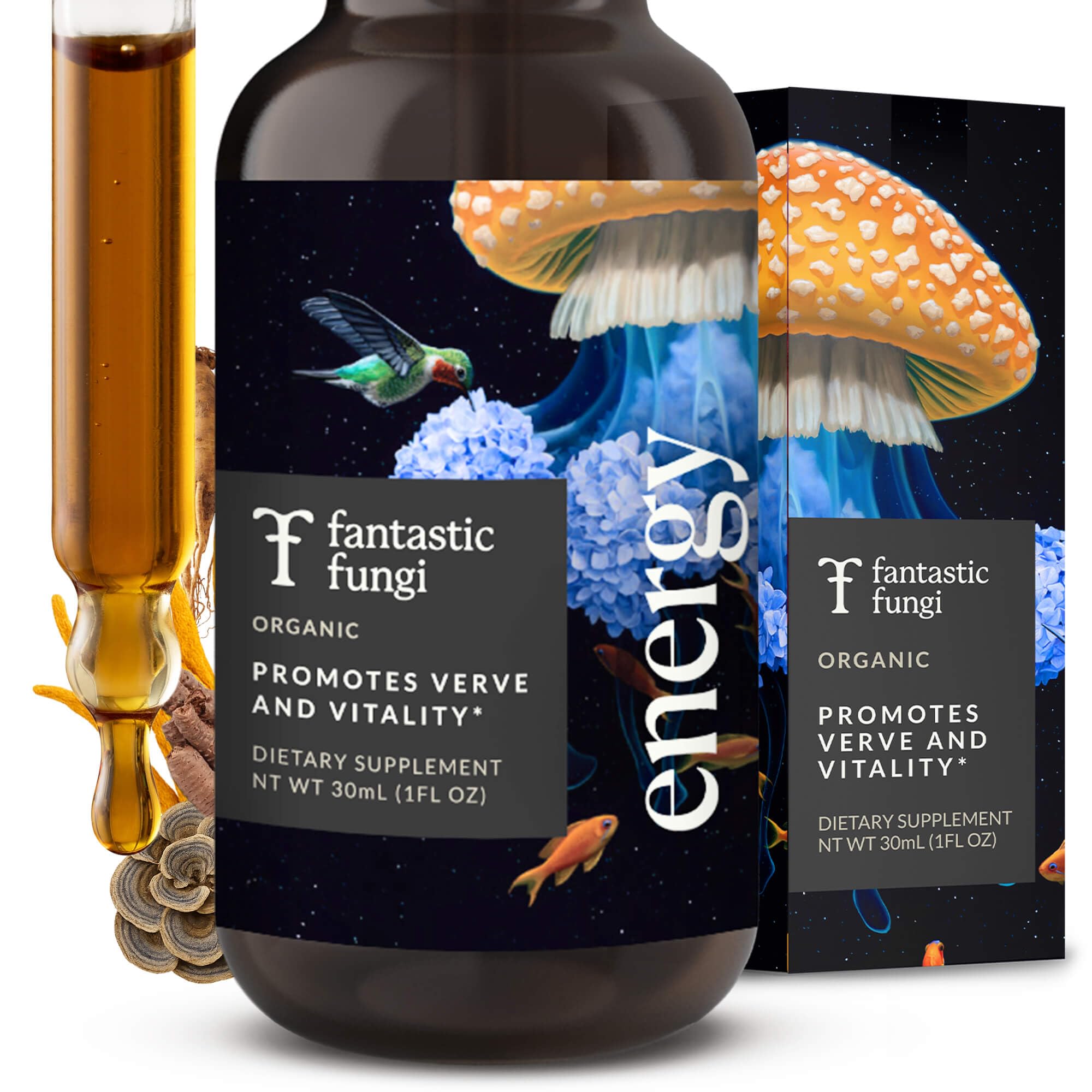 Fantastic Fungi Cordyceps Mushroom Tincture Drops - 4-in-1 Stress Support & Energy Elixir with Ginseng, Turkey Tail & Rhodiola - Organic Mushroom Extract Liquid, 30 Servings, 1 fl oz