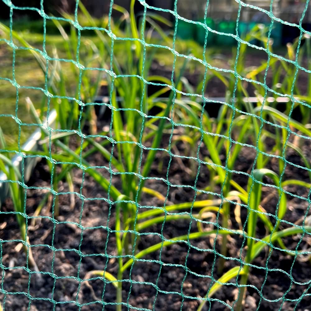 Gardenskill Green Anti Bird Garden Netting For Plants Soft Fruit Strawberries 6M X 10M | Horticultural Crop Protection Mesh - Strong Heavy Duty Fine Net For Cages Cloches Raised Beds Grow Tunnels Frames
