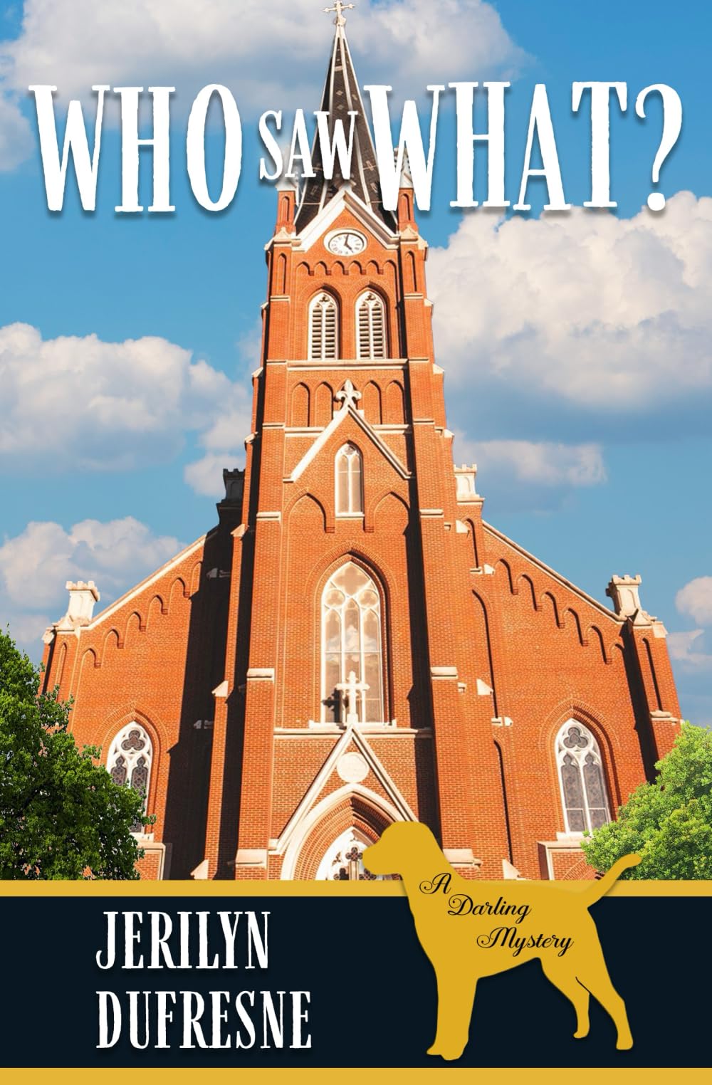 Who Saw What?: Sam Darling Mystery Book 10