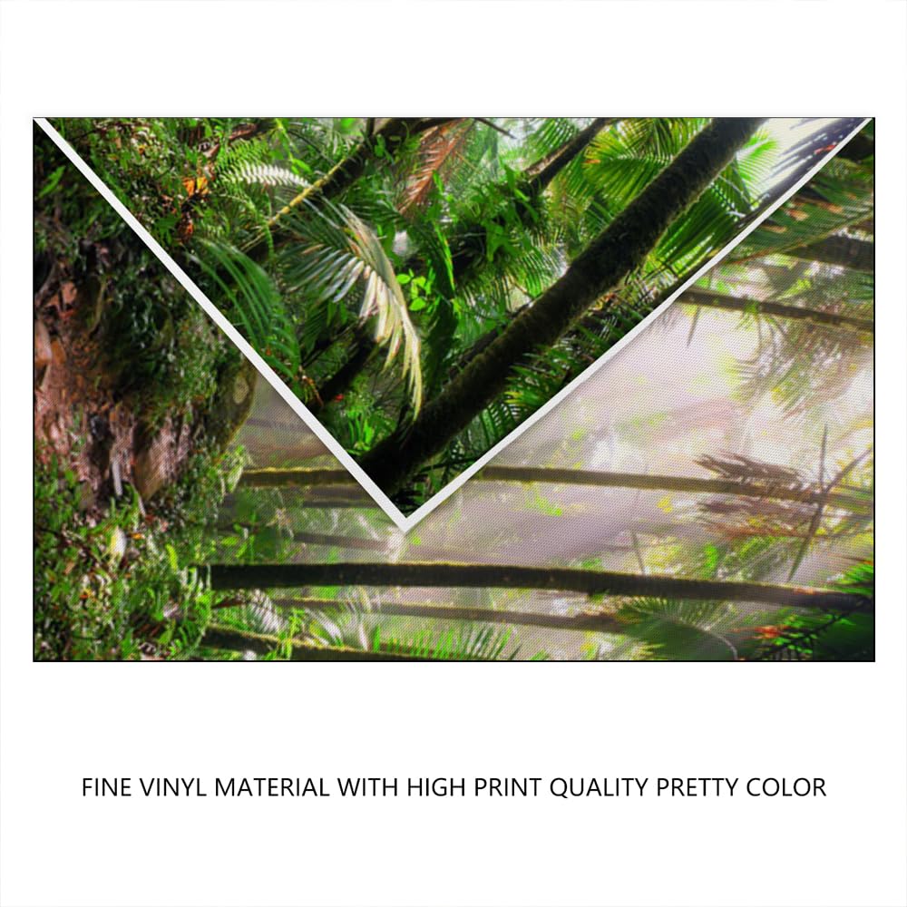 YongFoto 3x2,5m Vinile fondali fotografici Giungla Dirt Road I raggi del sole Palme Natura Sfondo foto Studio Fotografico nozze Fondale foto Accessori carta da parati