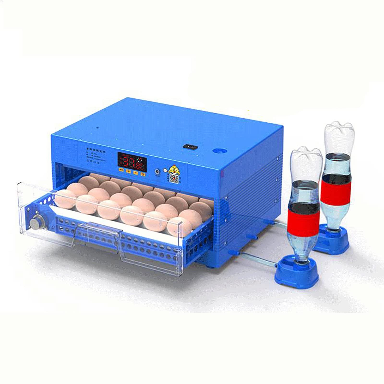 Buy Egg incubator, Eggs Digital Incubators for Hatching Eggs, 36 Egg