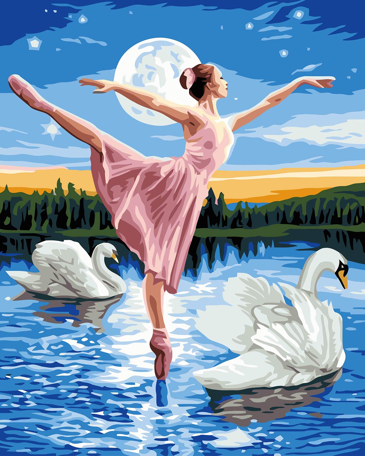 VIKMARI Paint by Numbers Kits for Adults Beginner 16 x 20 inch DIY Painting by Number kit Swan Dance DIY Oil Painting Kits for Adults Wall Art