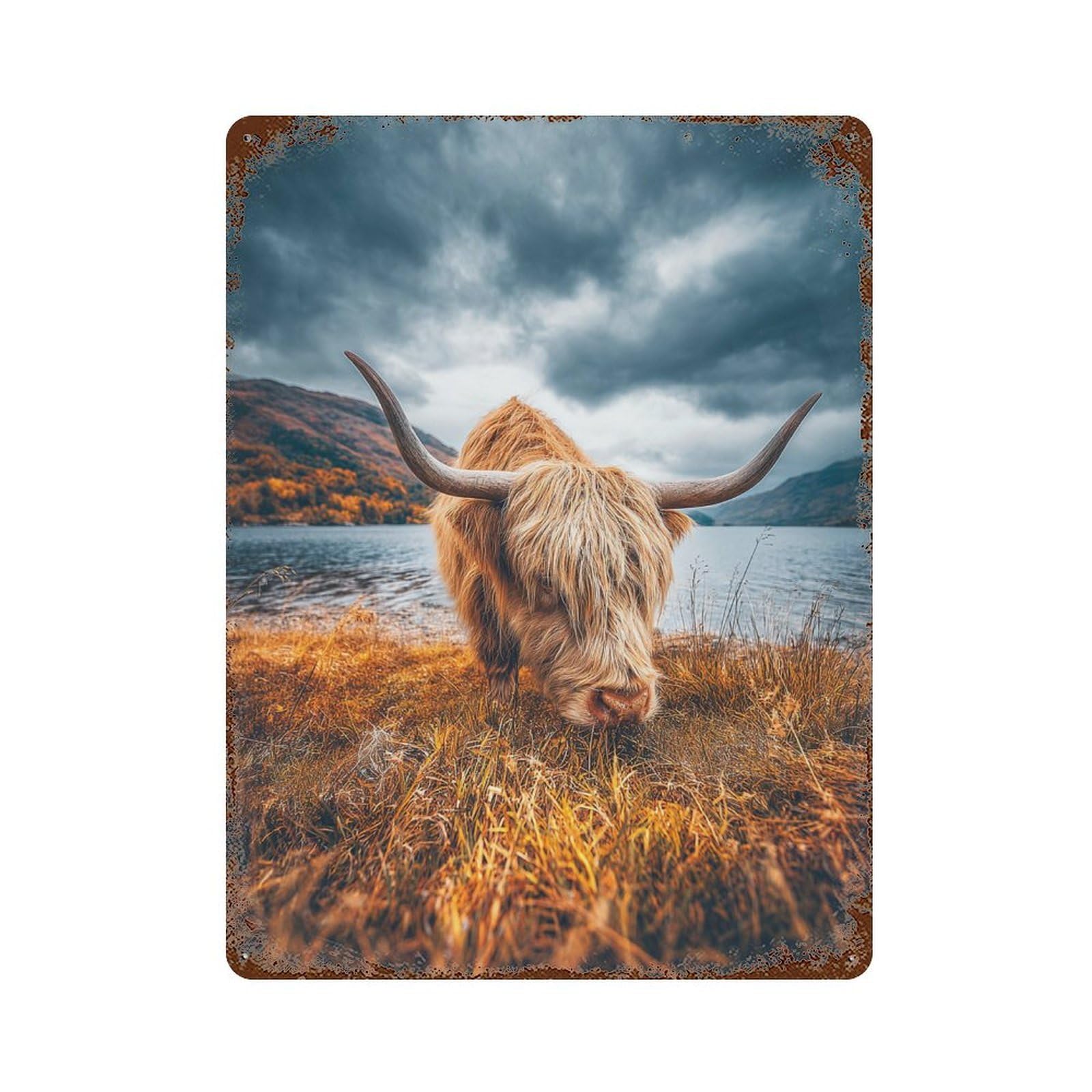 Scottish Highland Cow Grazing by Lake Rustic Tin Plaque 15.7"x11.8", Classic Wall Plaque for Garage, Pub Or Kitchen