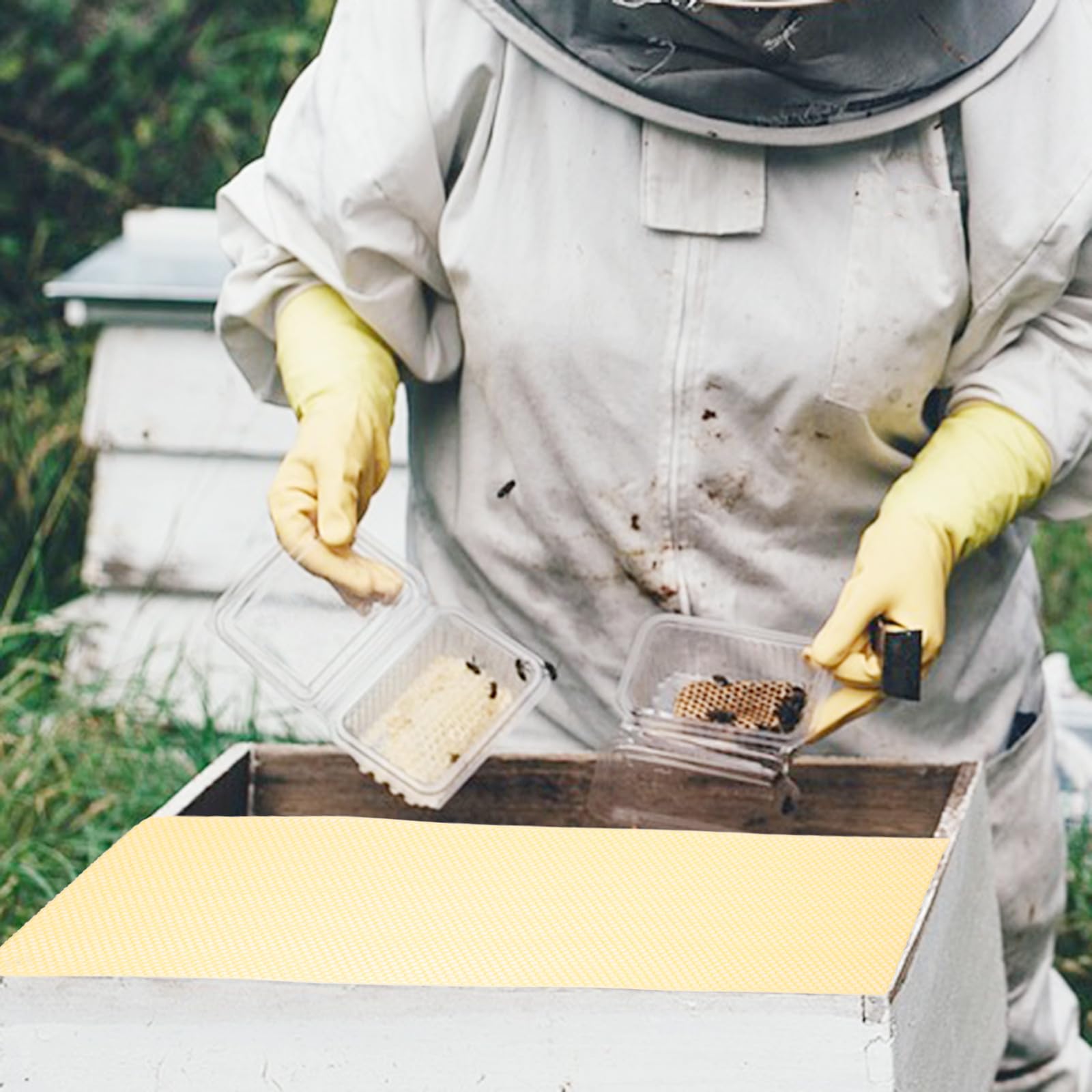 Fogli di Fondazione per Arnia in Cera D’api 10 Pezzi Arancia | Attrezzatura per Apicoltura, Fogli Naturali per Costruzione Nido, Formato Pratico per Lavorazione Rapida