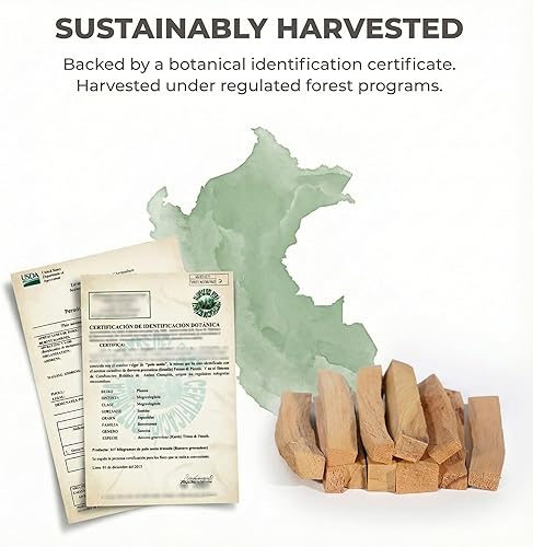 Miniatura 4 de Palo Santo Sticks from Peru 20 Sticks, Large Pack - 100% Natural Spiritual Cleansing Palo Santo Smudge Sticks, Sustainably Hand Picked