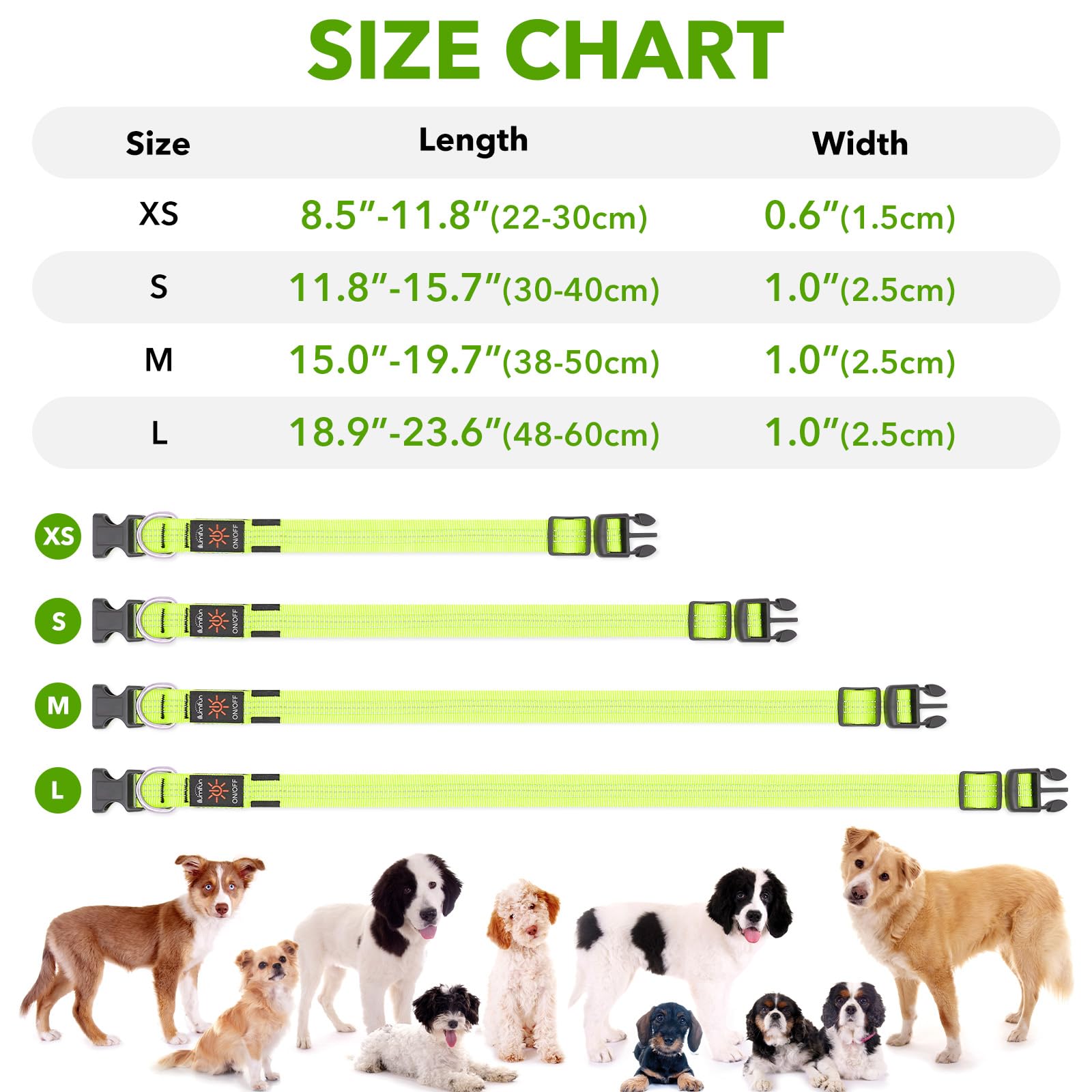 Collier pour chien Illumifun rechargeable par USB avec LED, collier lumineux réfléchissant pour chien, collier pour chien avec éclairage pour la marche nocturne (VertⅢ, Grand)