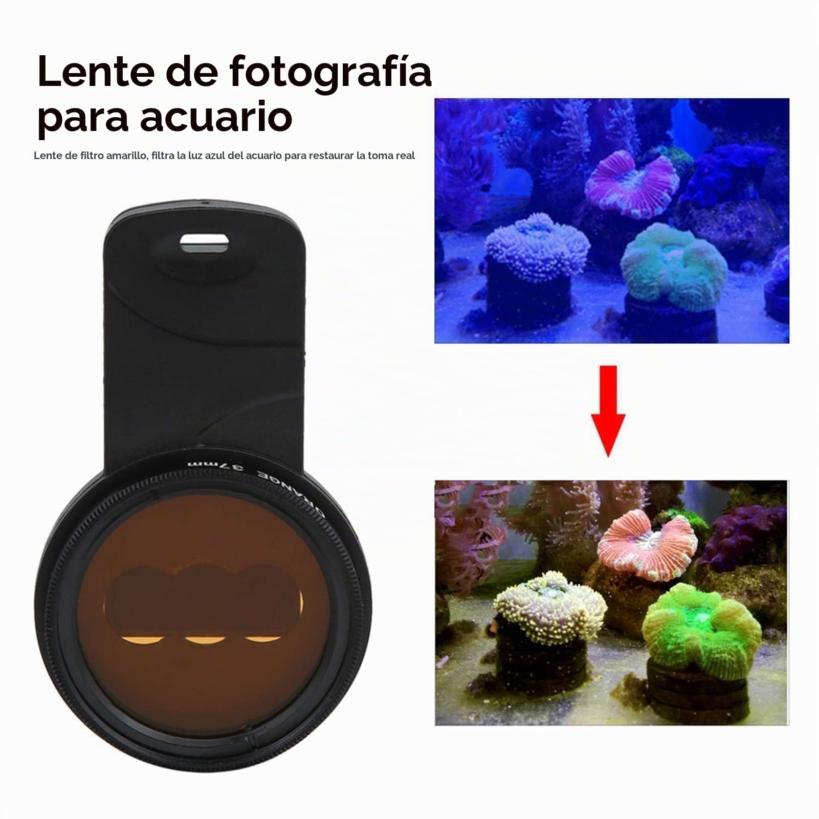 Lente de teléfono, Juego de filtros de Lentes, Lente de Vista Macro Amarilla y Naranja, Tanque de Peces de Agua Marina, Cilindro de Coral, Kit de Lentes de fotografía subacuática con Filtro Macro