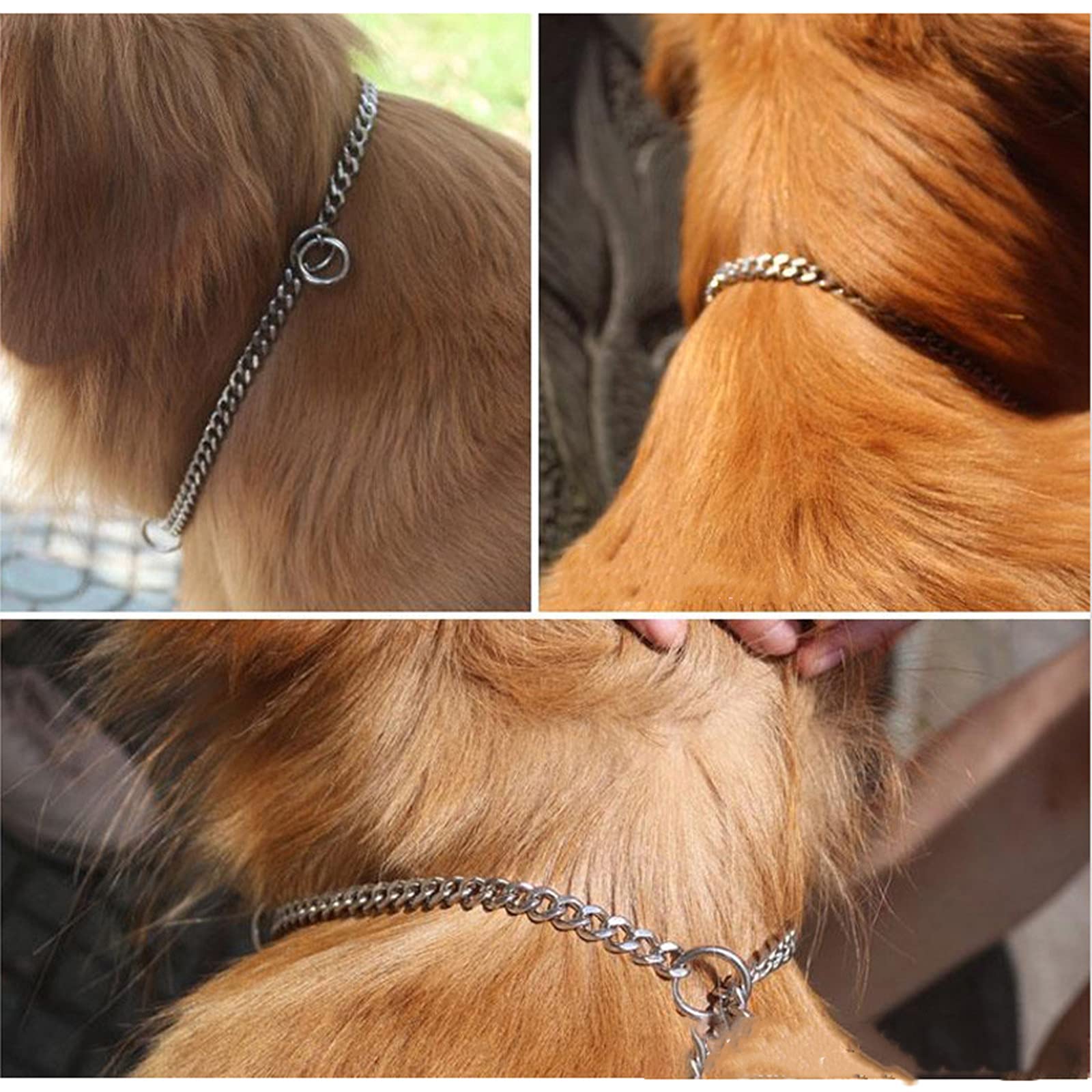Amazon | 犬 首輪 ステンレス チェーン 丈夫 チョークチェーン 小型犬