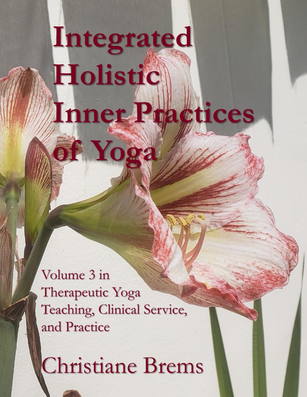 Integrated Holistic Inner Practices of Yoga: Volume 3 in Therapeutic Yoga Teaching, Clinical Service, and Practice