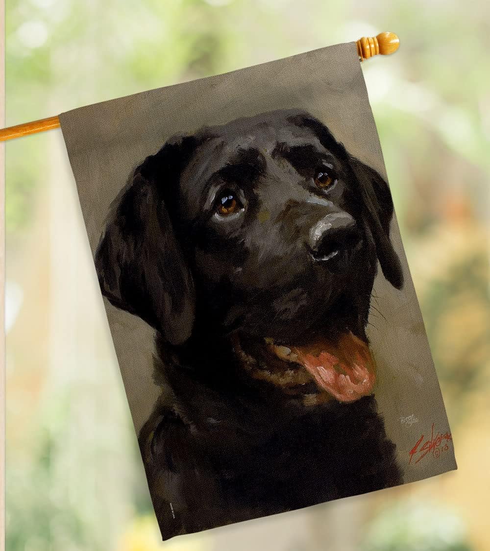 Breeze Decor - Black Lab Nature - Everyday Impressions Decorative Vertical House Flag 28" x 40" Printed in USA