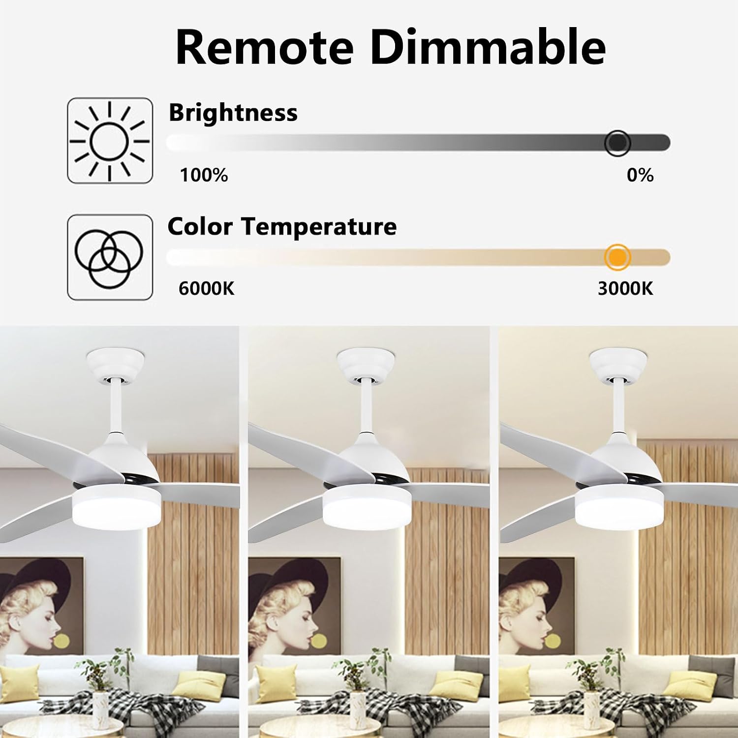 Simple Quiet Ceiling Fan Modern Remote Ceiling Fans with Dimmable 48W LED Lights 6 Speeds Ceiling Fan Light for Bedroom Lounge Room Living Room Reversible DC Motor, 3 ABS Blades