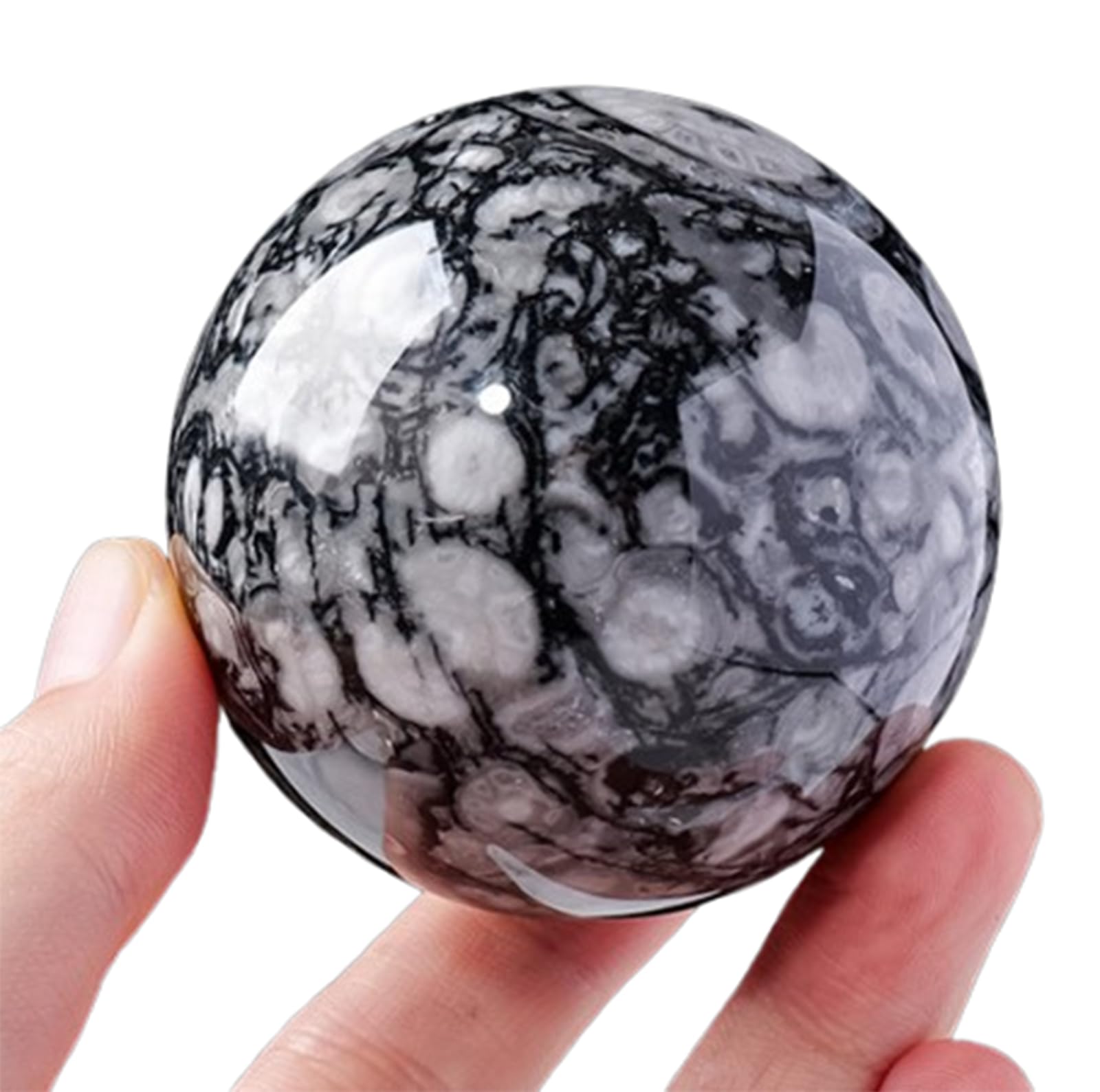 AARTERZZA Shell Stone Crystal Ball Ornament with Stand Rare Black White Gemstone Sphere Fengshui Decoration for Gift,50~55mm